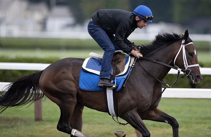 A Thread of Blue trains at Saratoga Race Course on Sept. 3