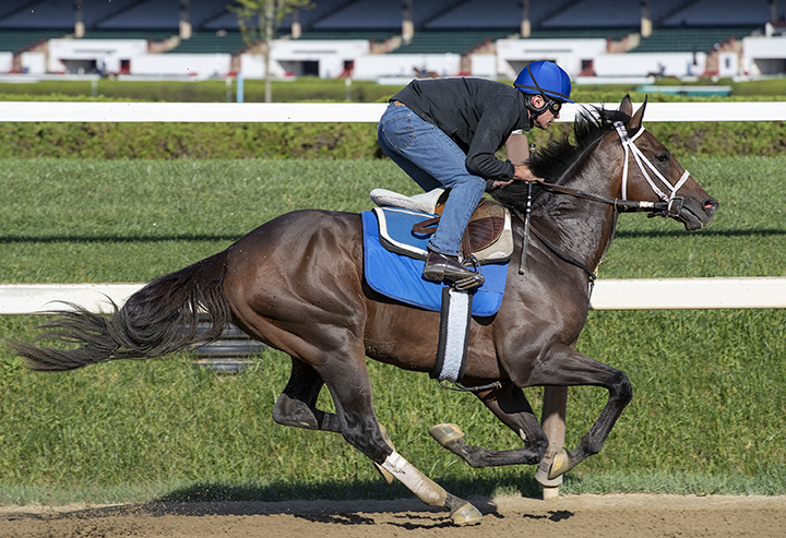 A Thread of Blue trains at Saratoga Race Course on Aug. 30