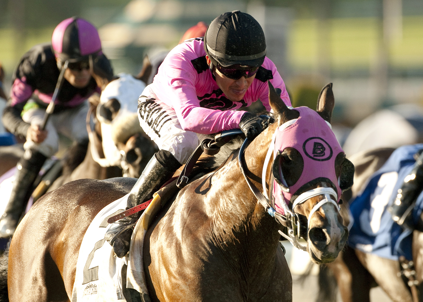 A Toast to You wins the 2013 California Flag Handicap