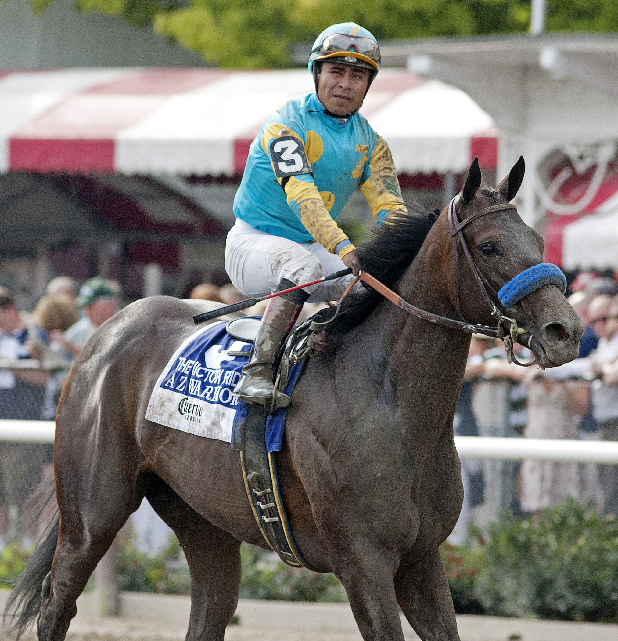 A Z Warrior, Aug. 27, 2011, Saratoga