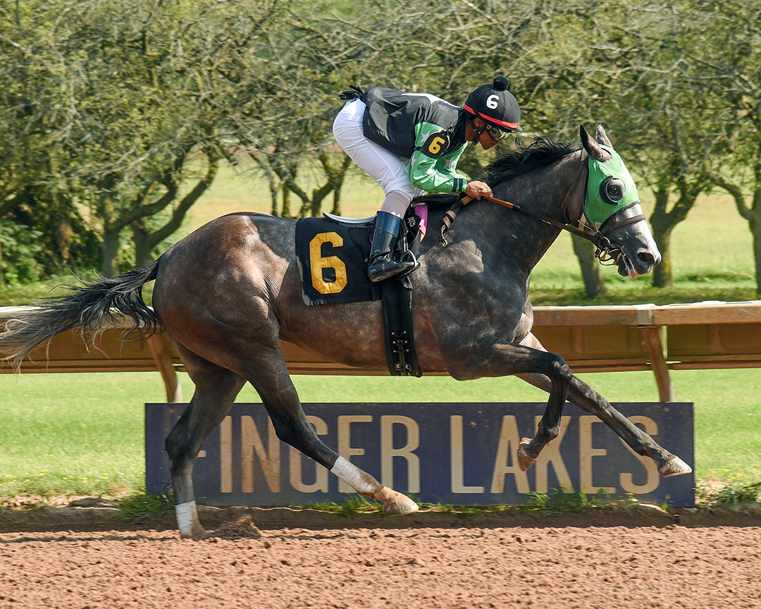 A Bit o'Irish Sass wins the 2021 New York Oaks at Finger Lakes Racetrack
