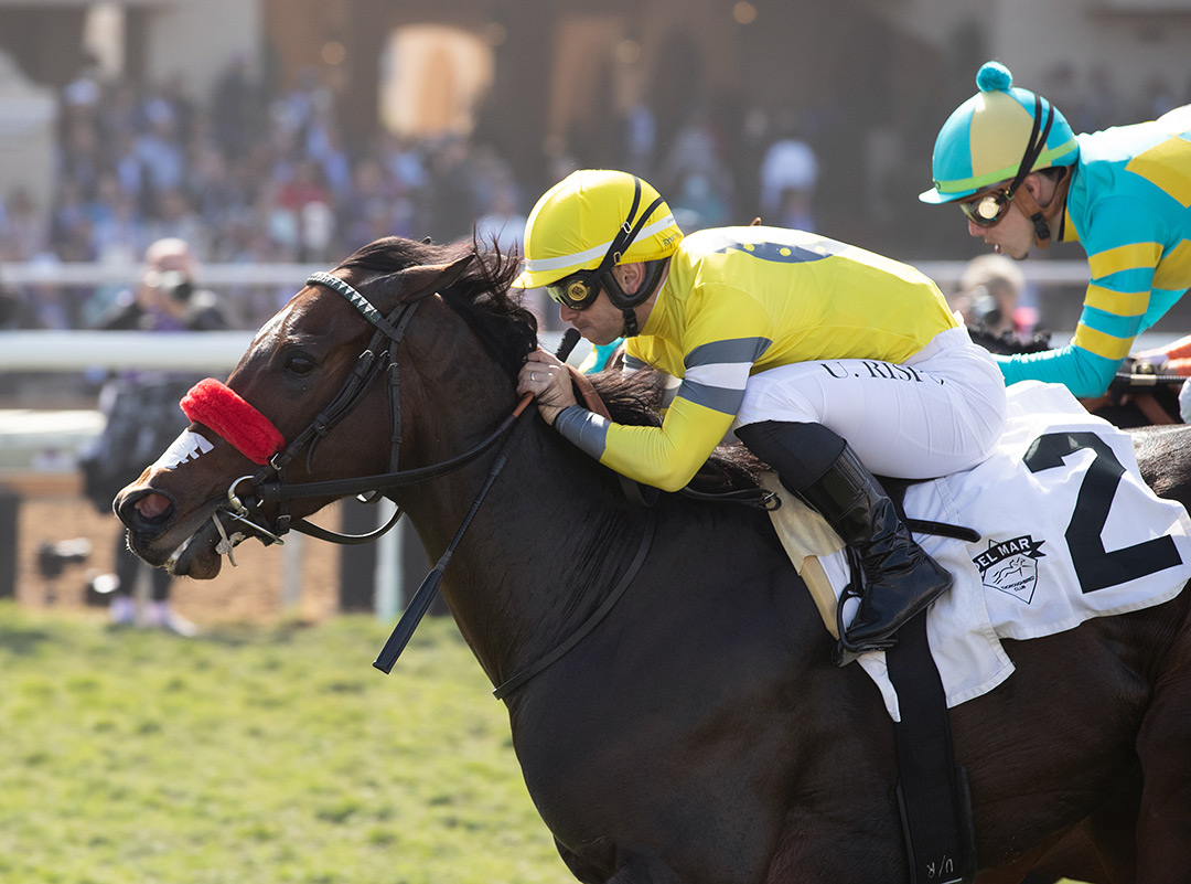 A G Indy wins the 2021 Sen. Ken Maddy Stakes at Del Mar