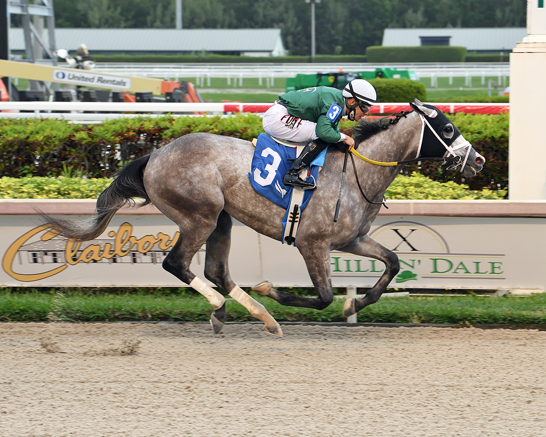 A. P.'s Secret wins a Jan. 9 allowance at Gulfstream Park