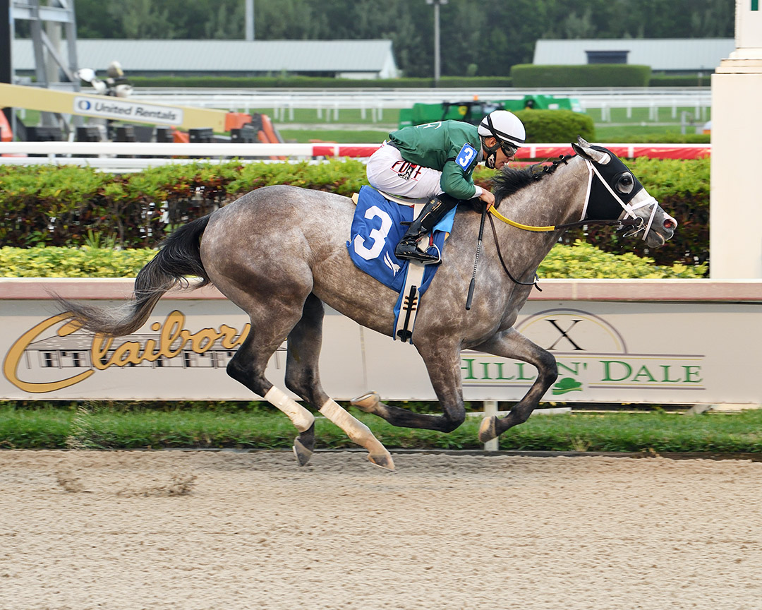 A.P.'s Secret wins a Jan. 9 allowance at Gulfstream Park