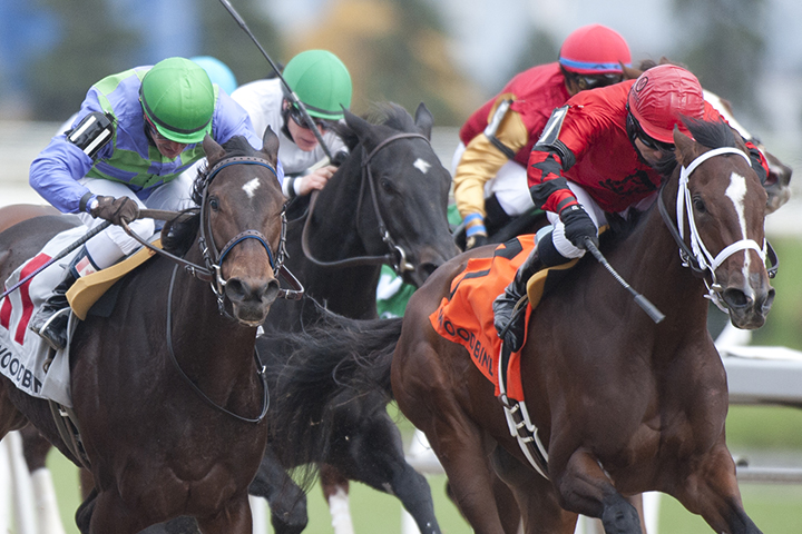 A. A. Azula-s Arch wins the 2018 Maple Leaf Stakes