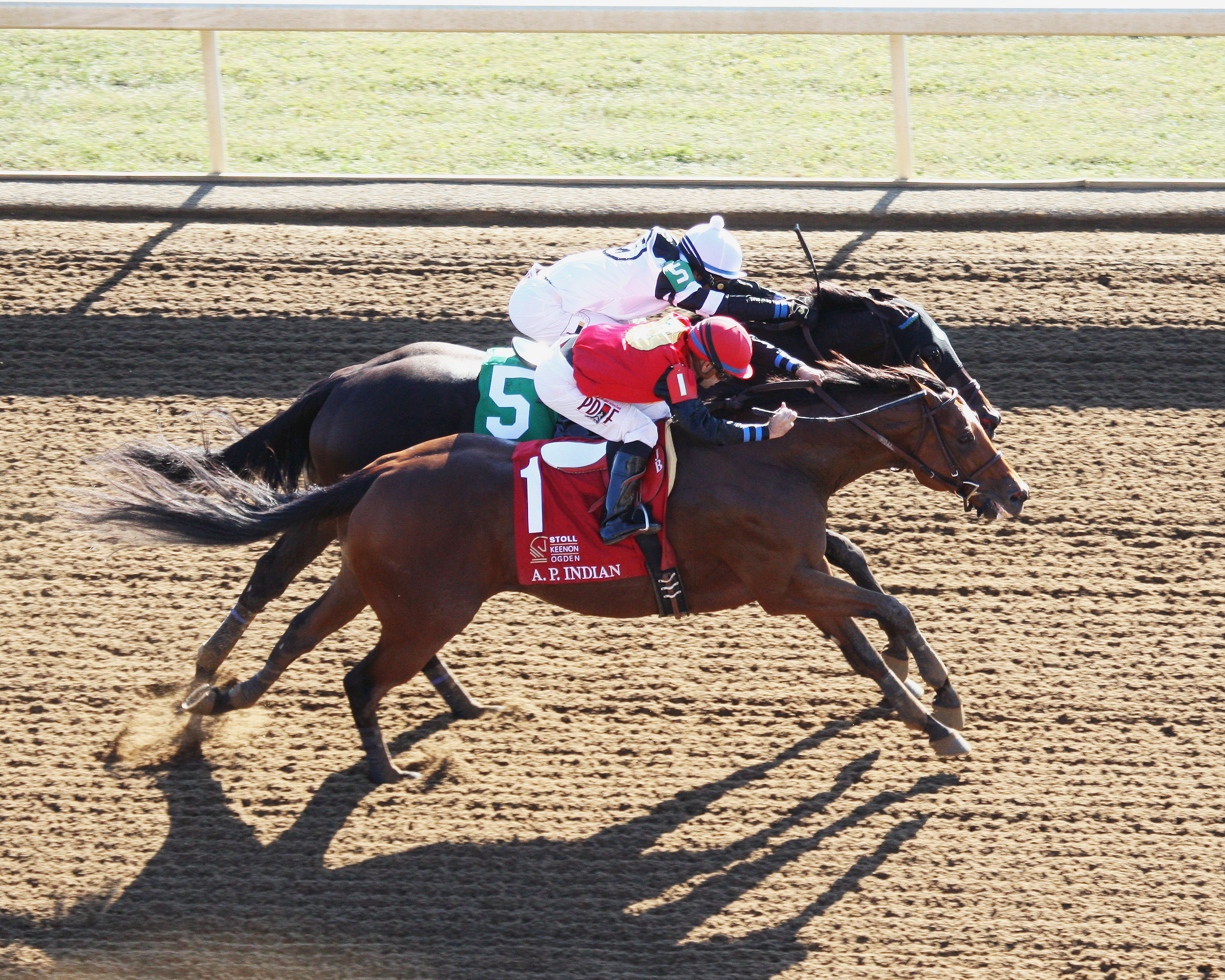 A. P. Indian wins the 2016 Phoenix Stakes