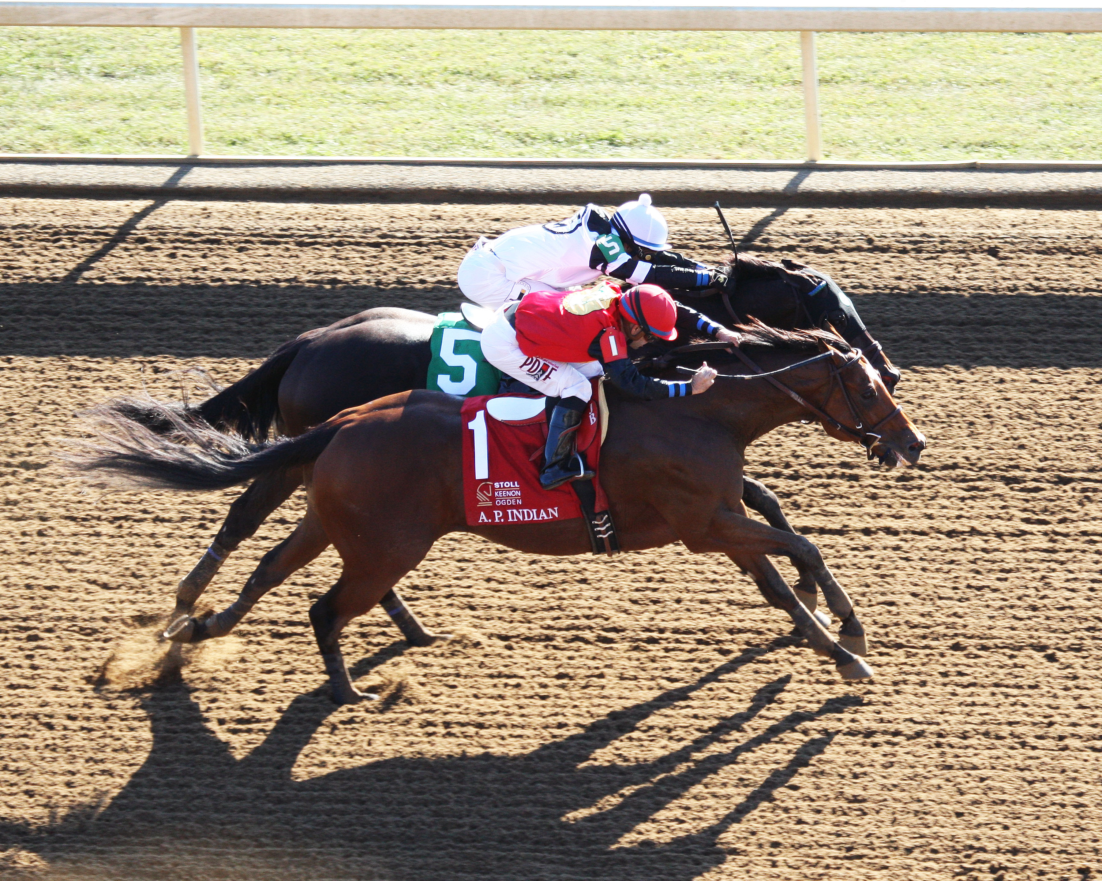 Limousine Liberal finishes second in the 2016 Phoenix