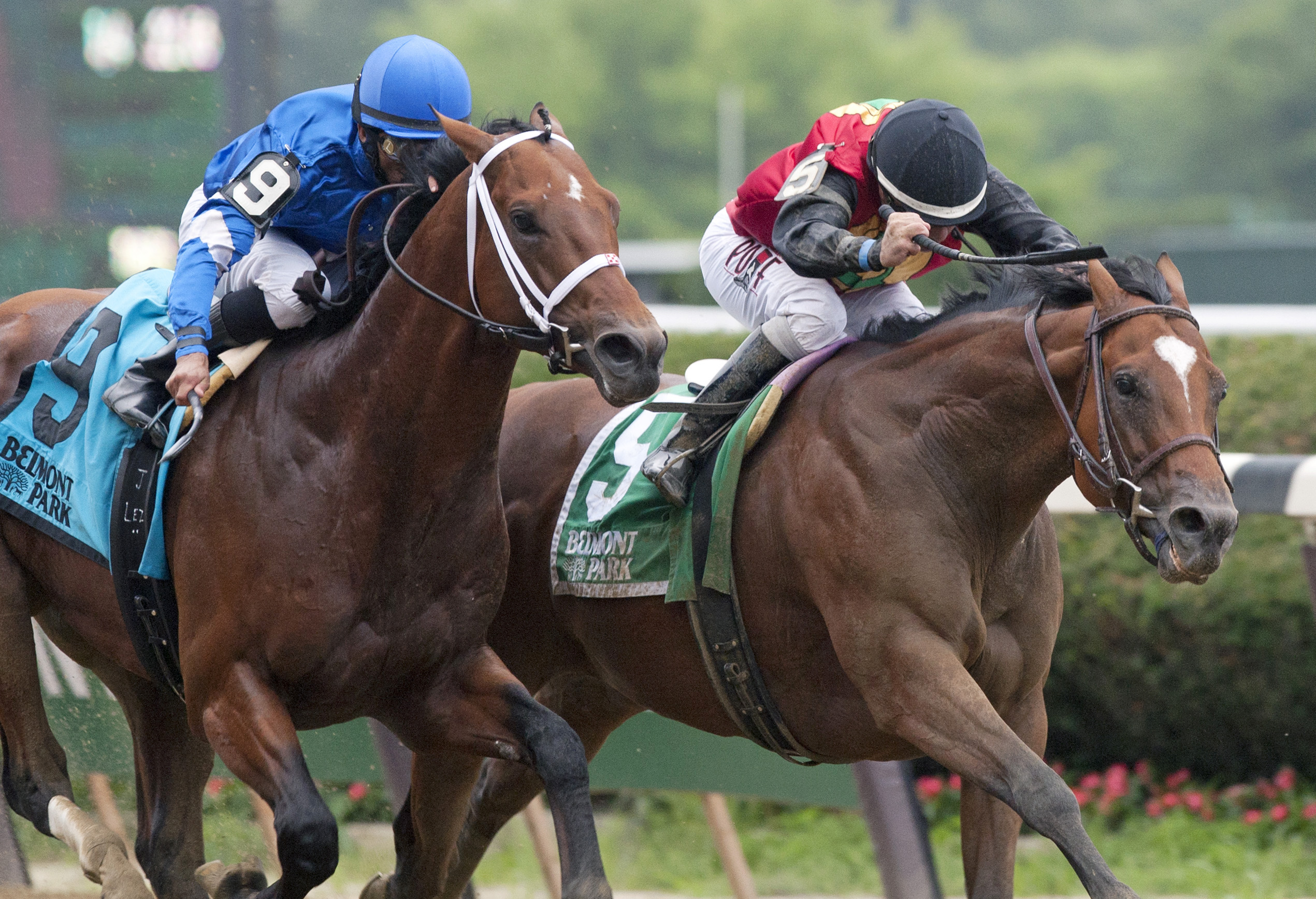 A. P. Indian wins the Belmont Sprint Championship