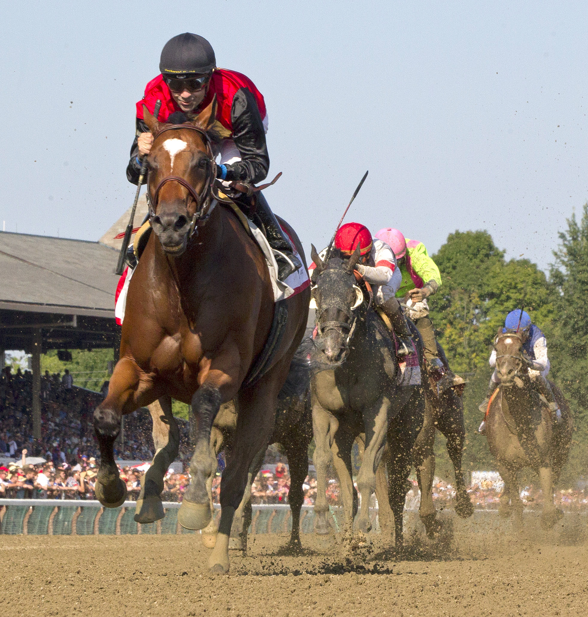 A. P. Indian wins the Forego Stakes