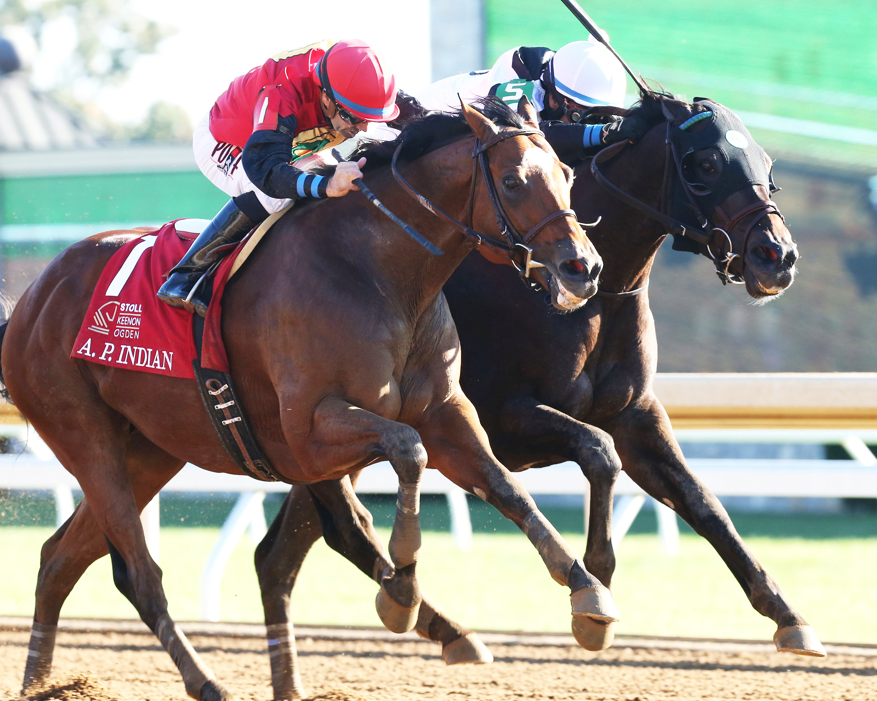 A. P. Indian wins the Phoenix Stakes