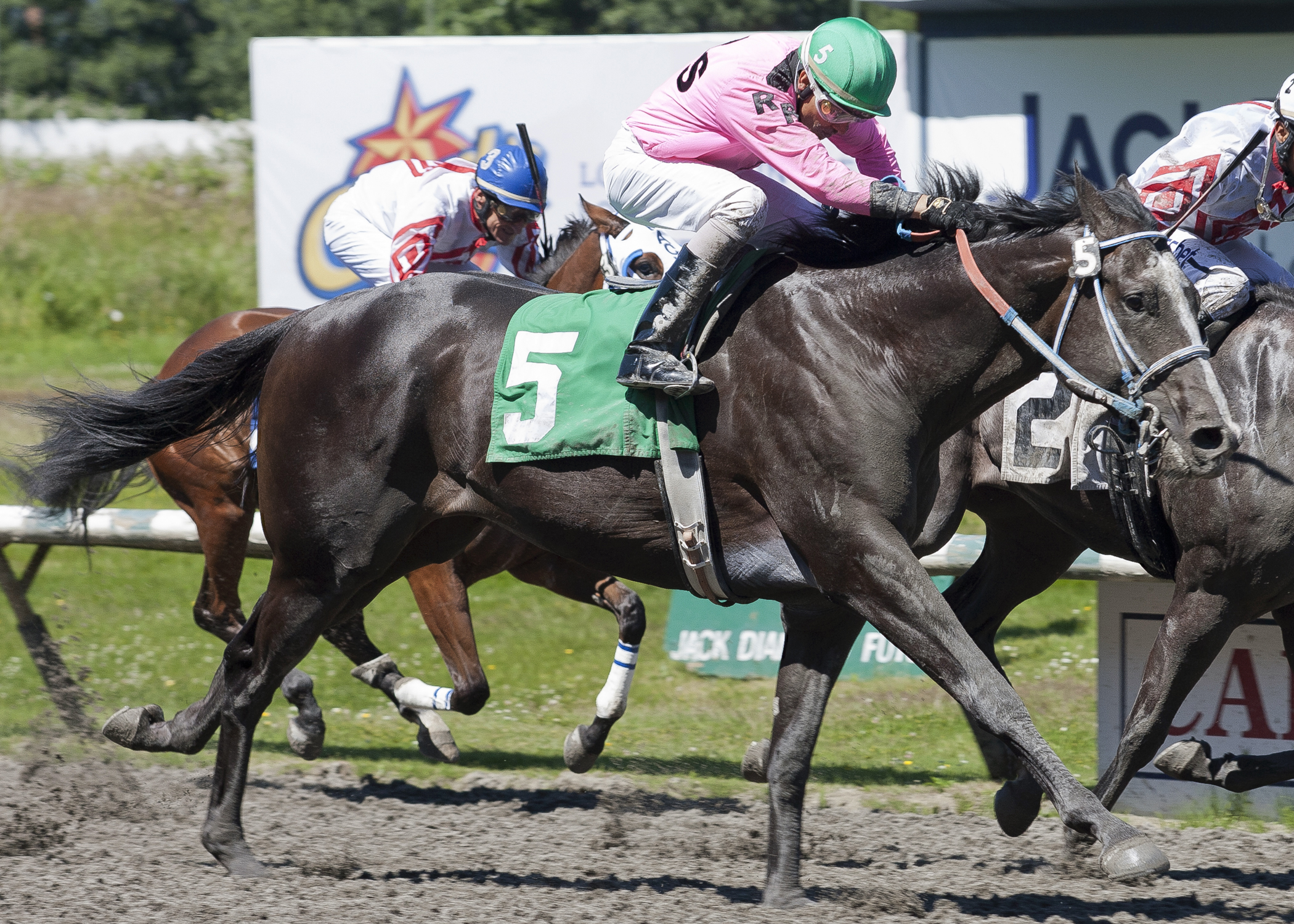 A. P. Zona wins the 2017 River Rock Casino Handicap