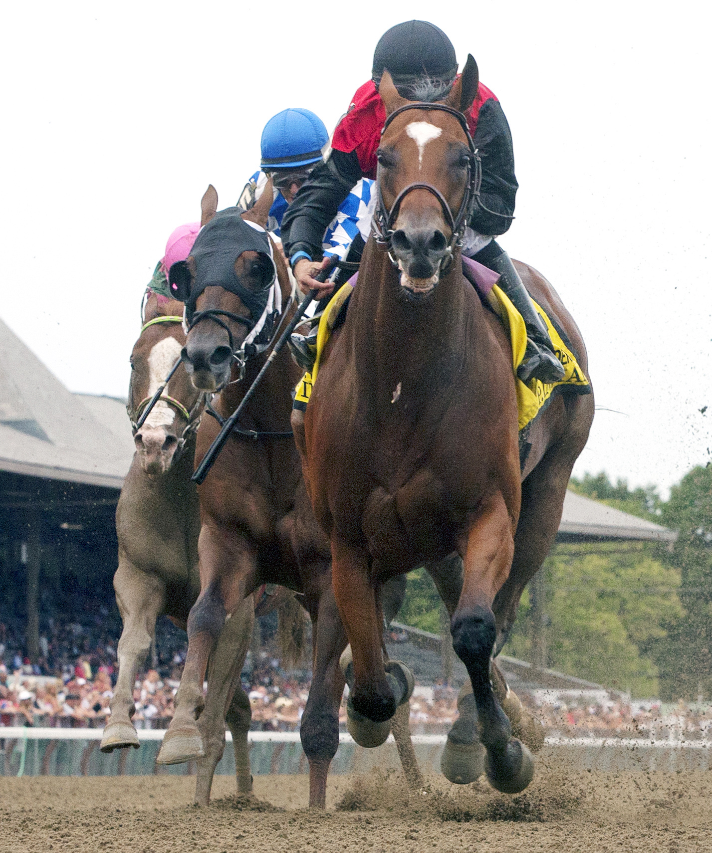 A. P. Indian wins the Vanderbilt Handicap