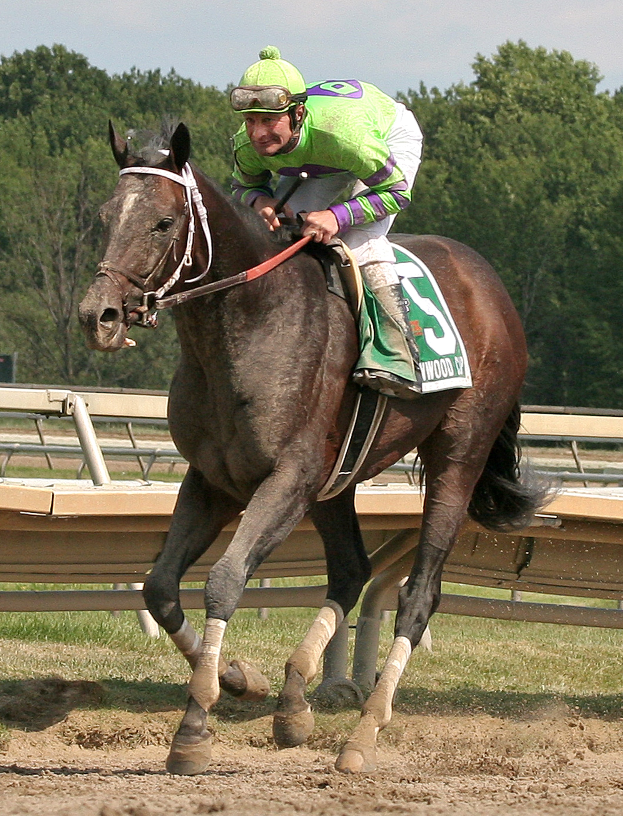 A.U. Miner, 2011 Greenwood Cup