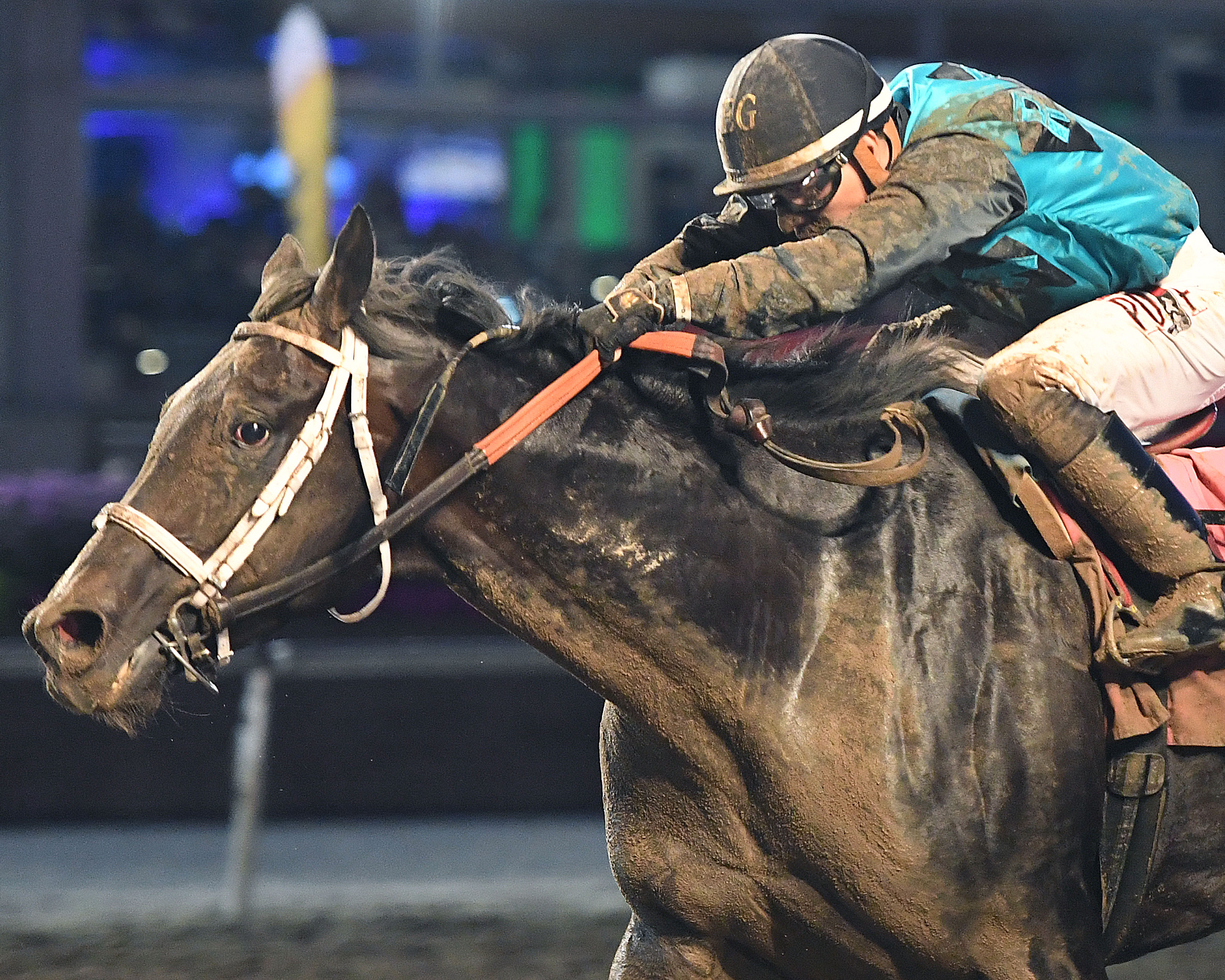 Ain't Life Grand wins Iowa Derby 7-9-2022