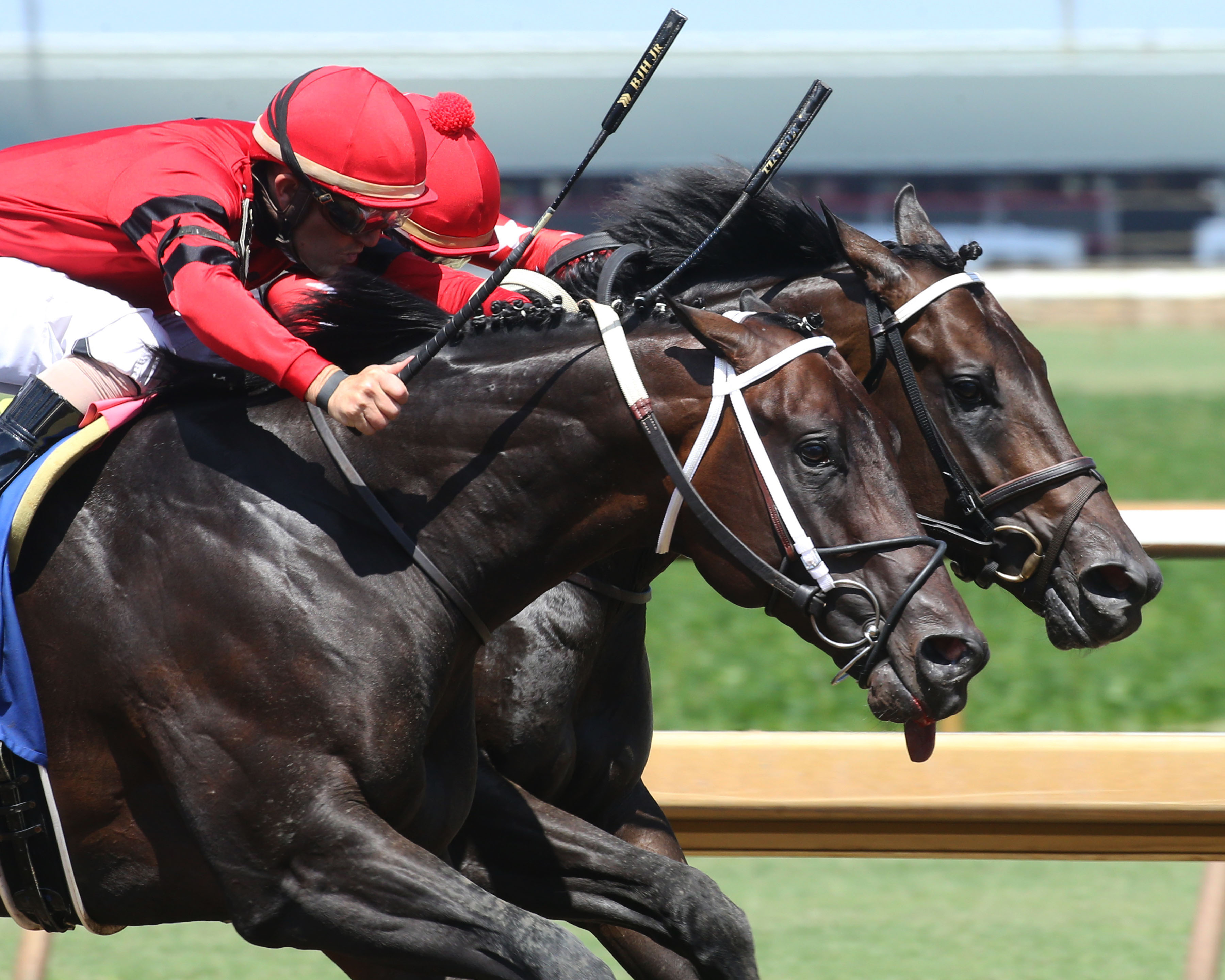 All in Sync wins Dade Park Dash 7-10-2022