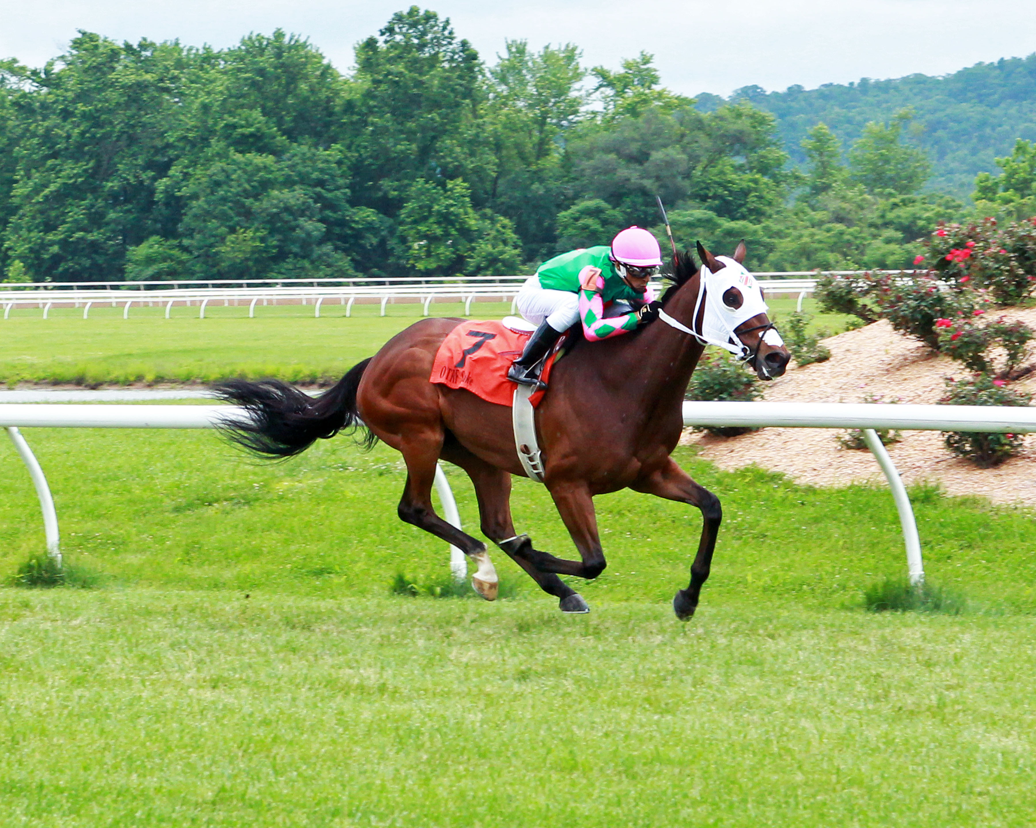 Altissimo wins the 2019 Sydney Gendelman Memorial
