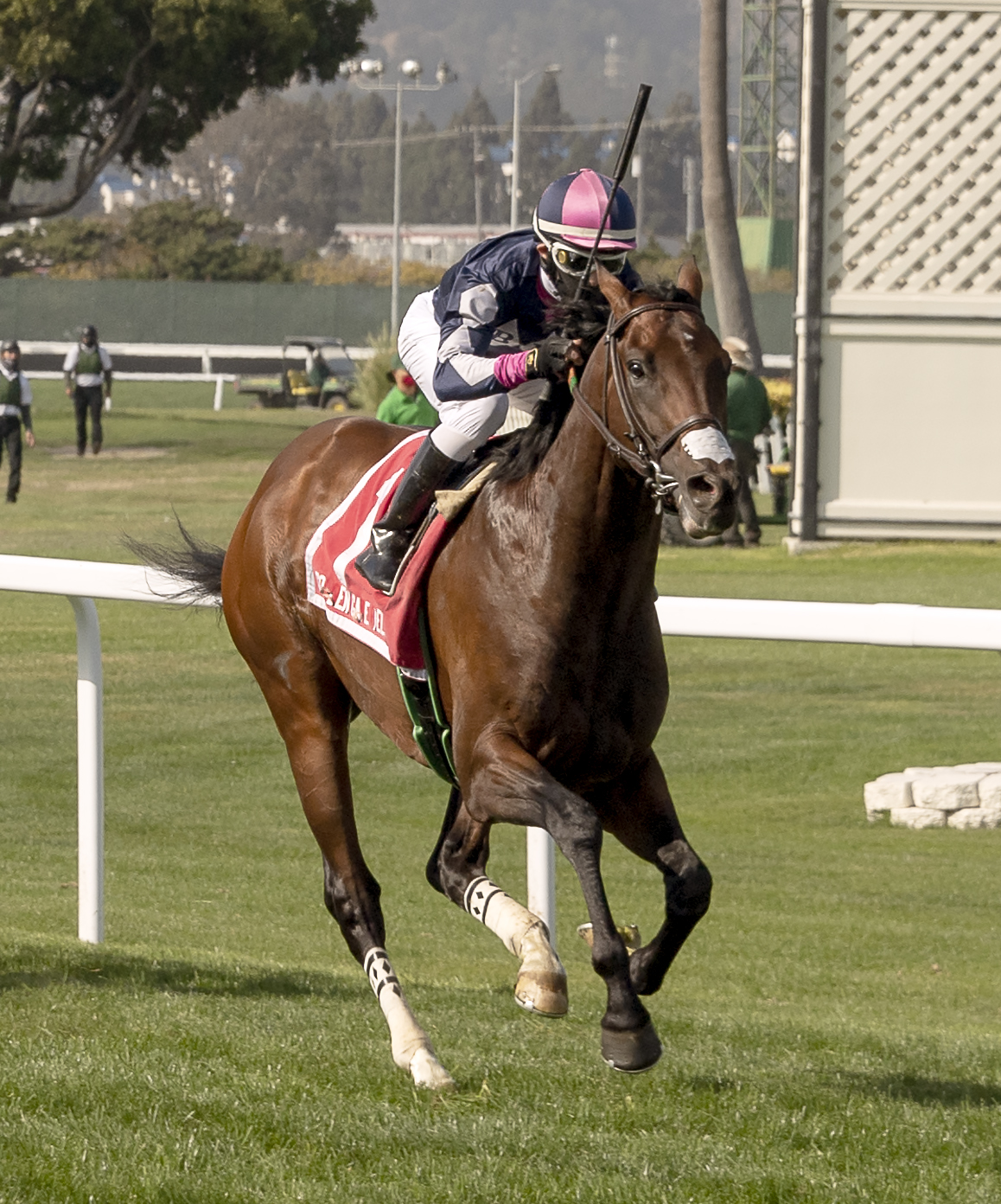 American Farmer wins the Dupret Derby at Golden Gate Fields