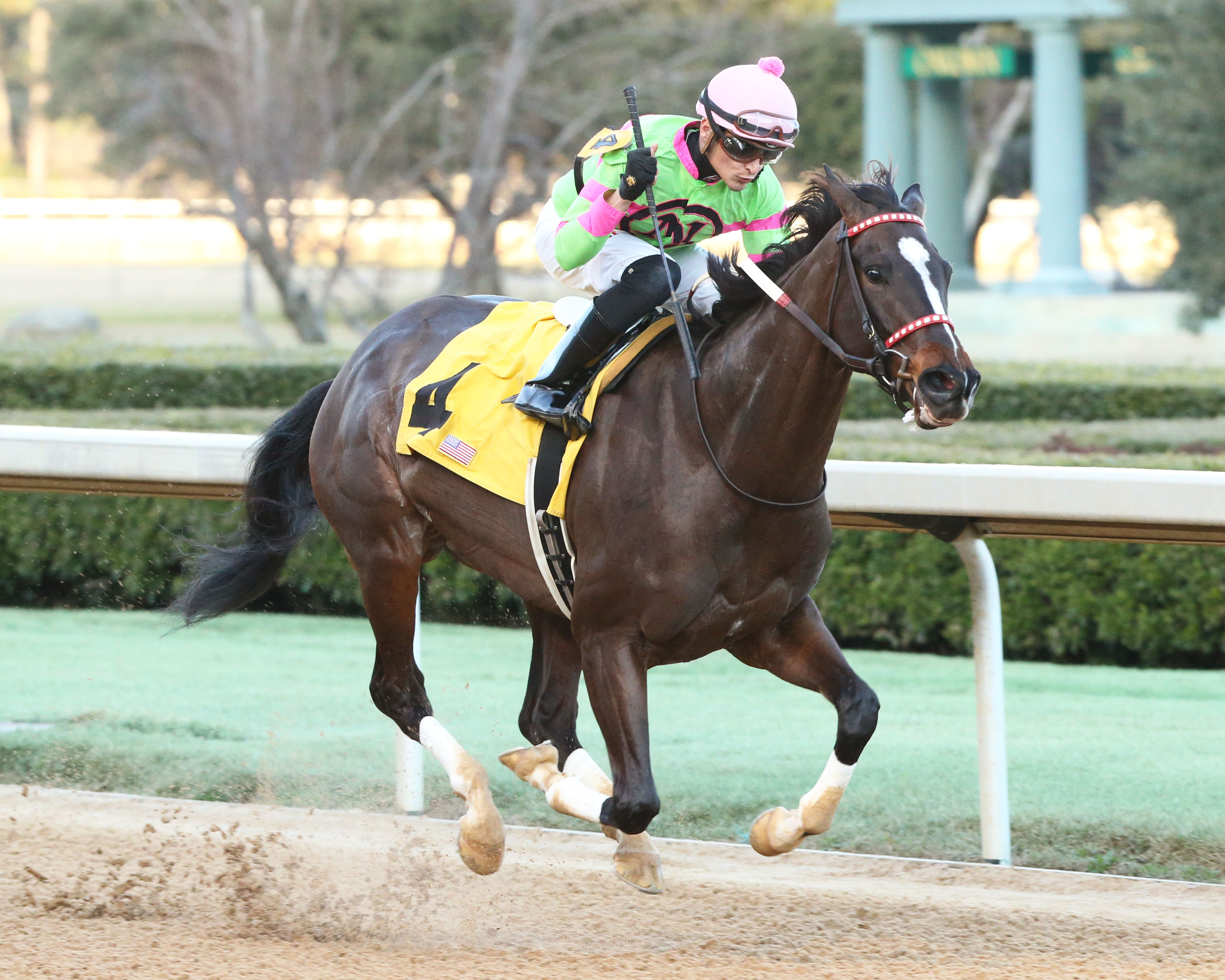 Amy-s Challenge wins the 2019 American Beauty Stakes