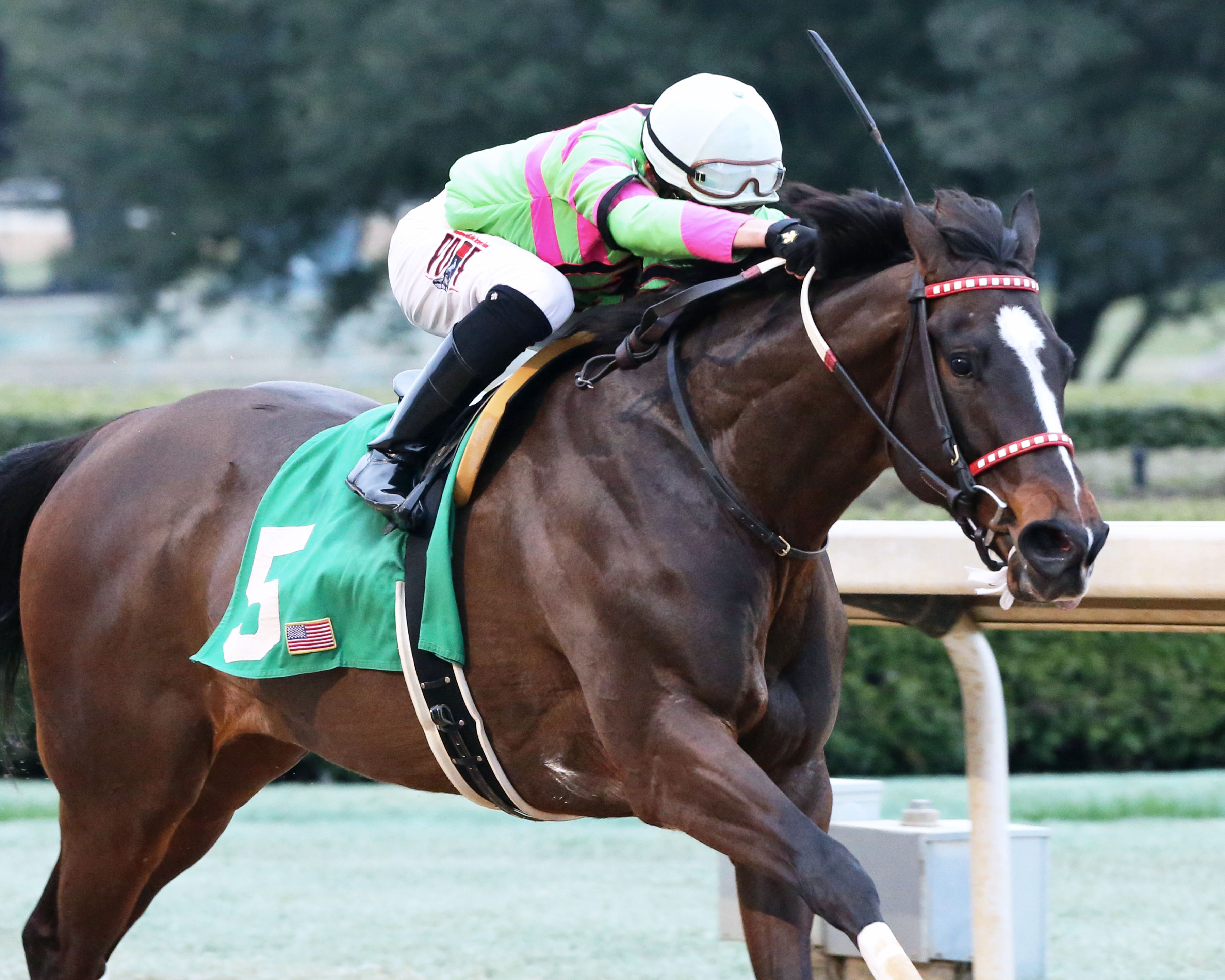 Amy-s Challenge wins the 2019 Spring Fever Stakes