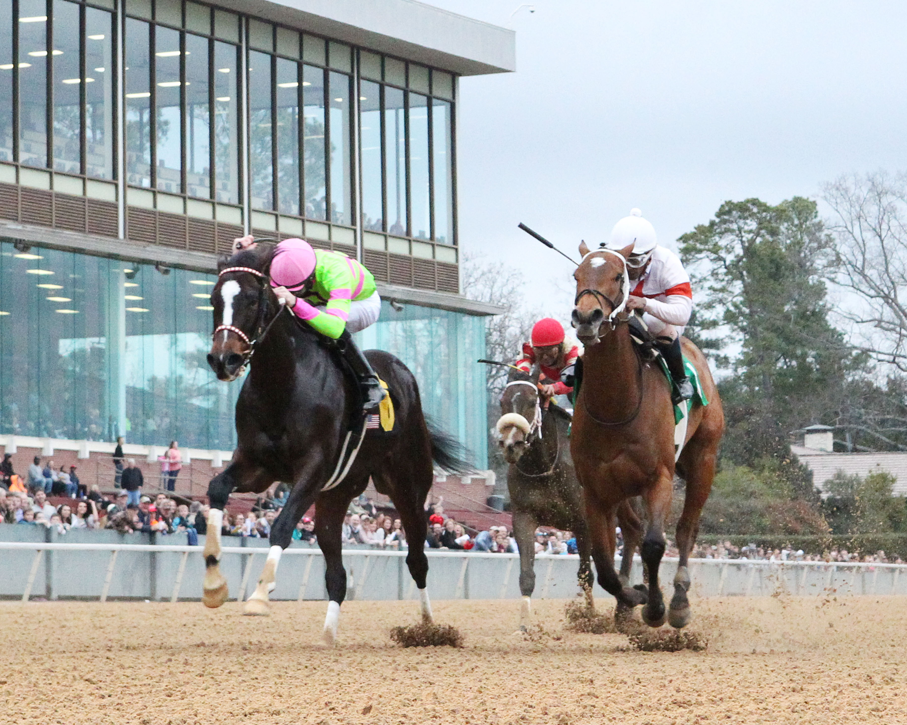 Amys Challenge wins the 2018 Dixie Belle Stakes