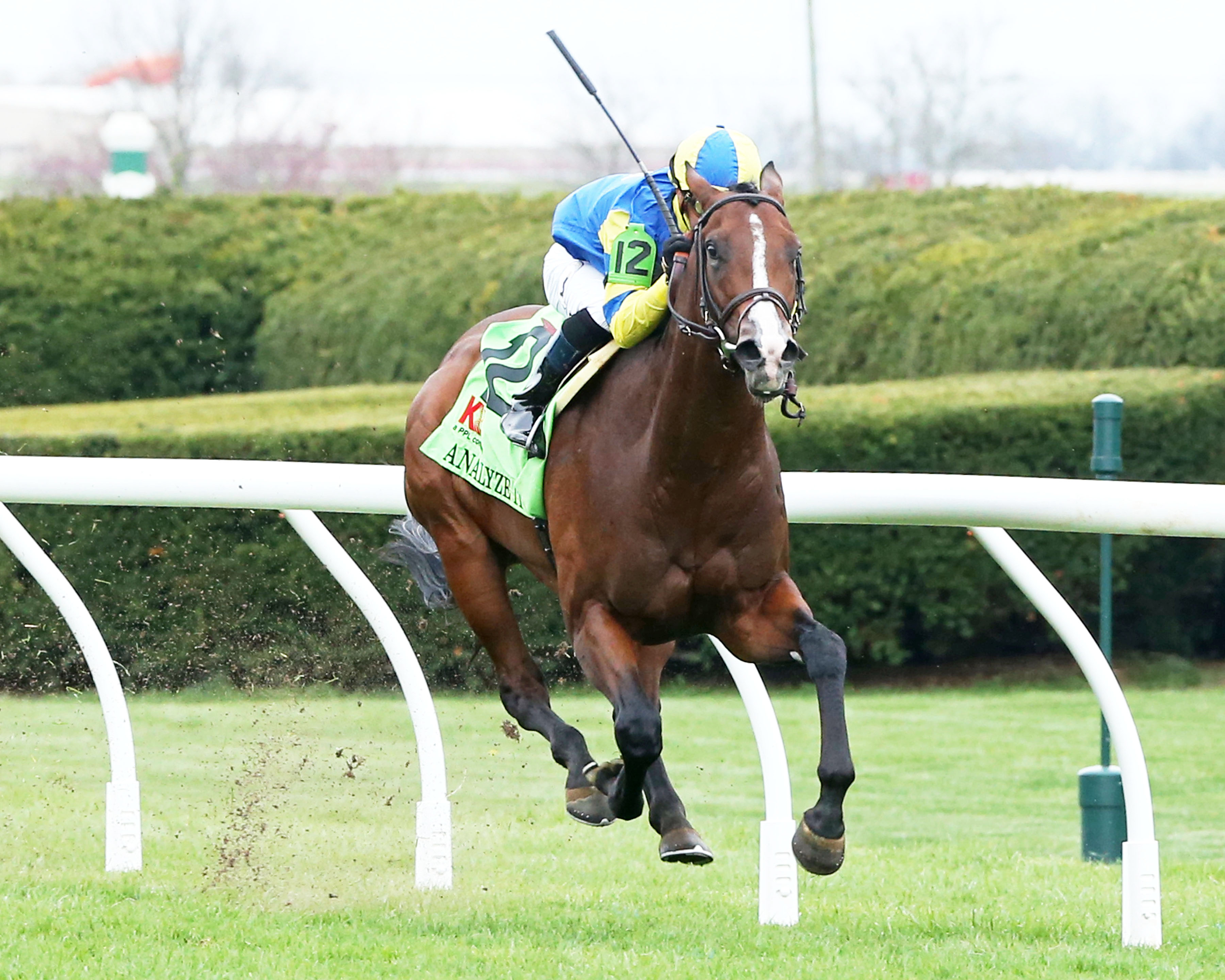 Analyze It wins the 2018 Transylvania Stakes
