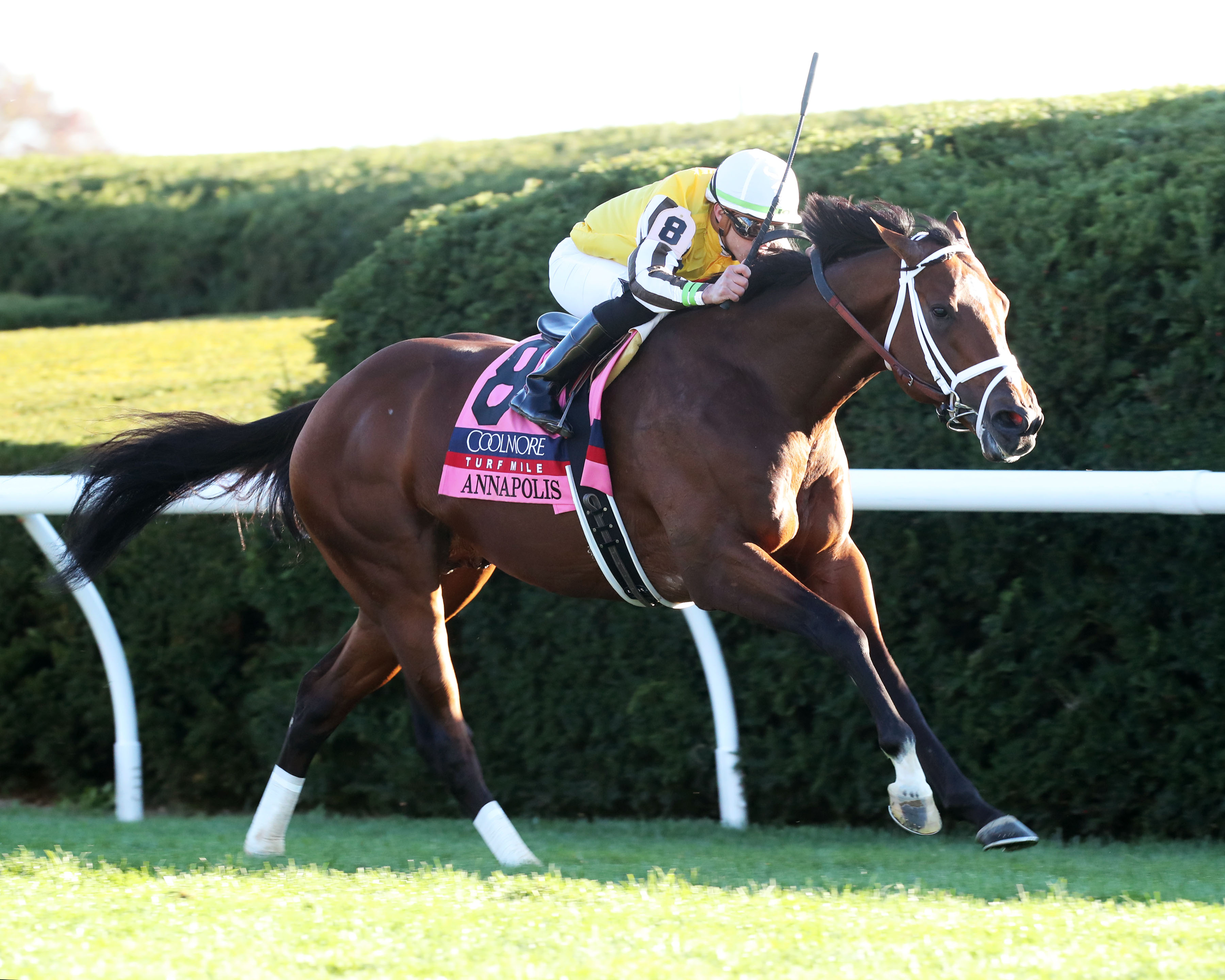 Annapolis/Coolmore Turf Mile