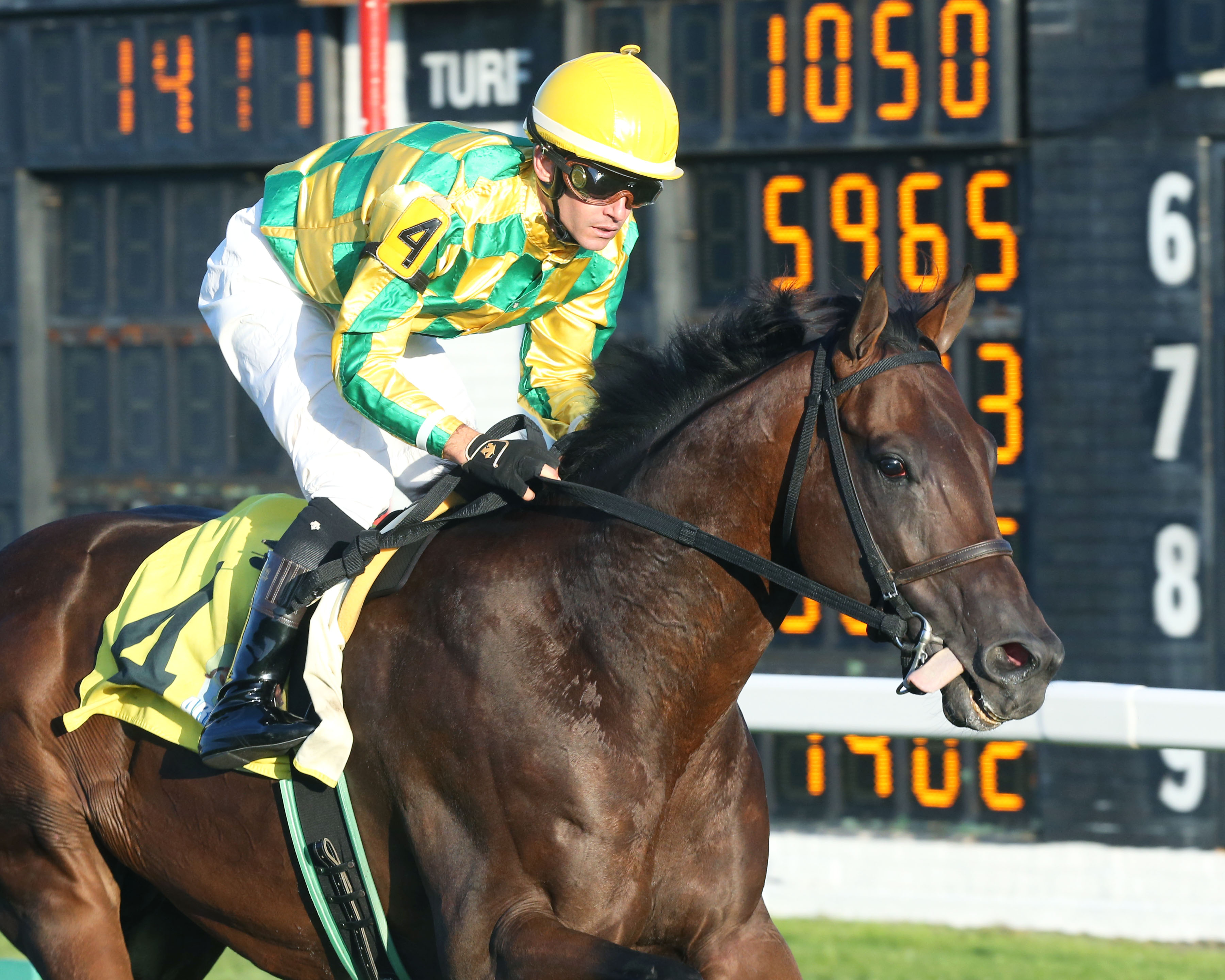 Another Mystery wins Black Tie Affair 8-14-2021