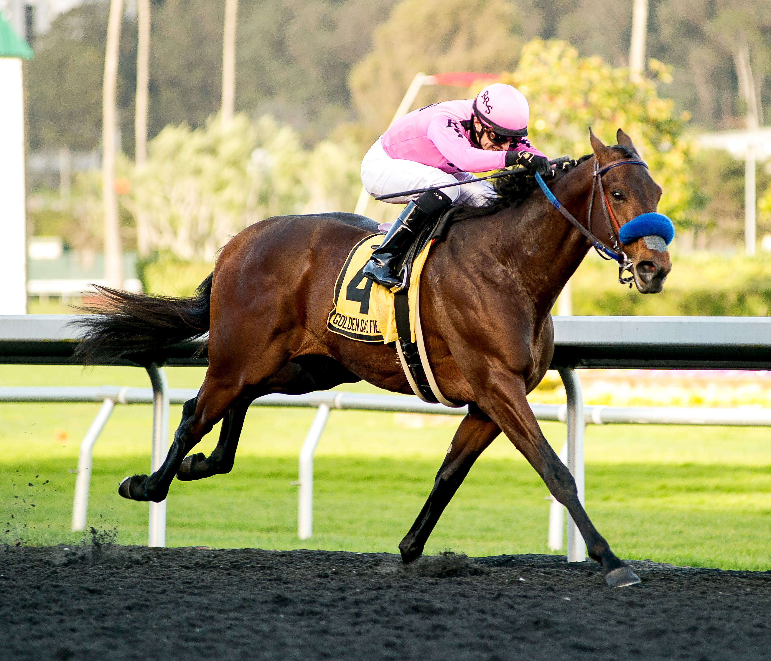 Anothertwistafate wins 2019 El Camino Real