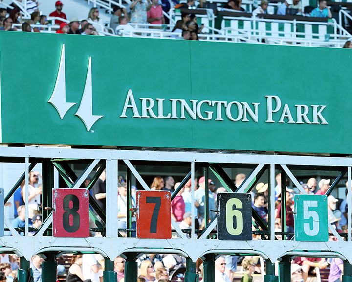 Arlington Park starting gate