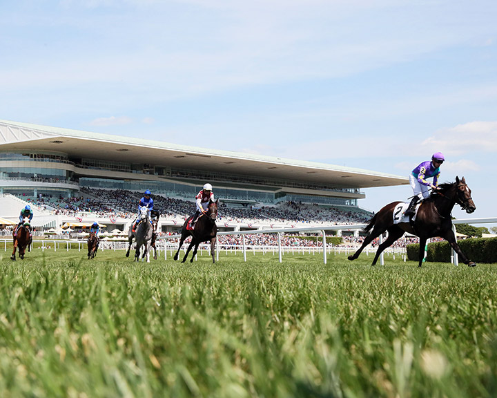 Arlington Park