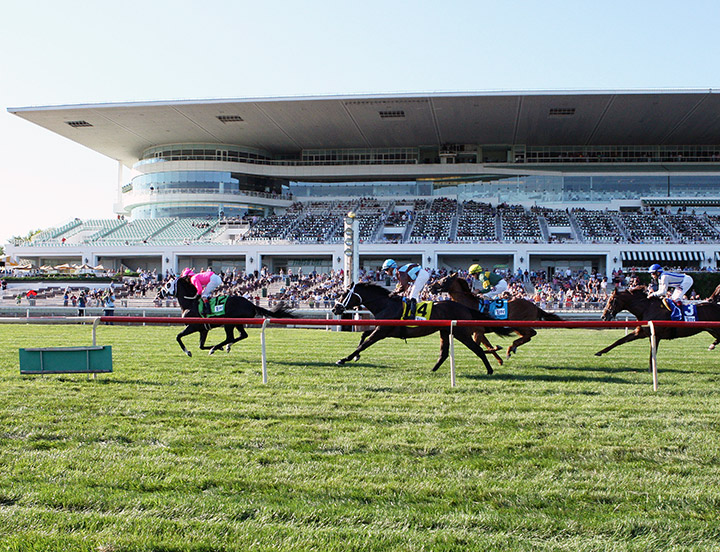 Arlington Park turf racing