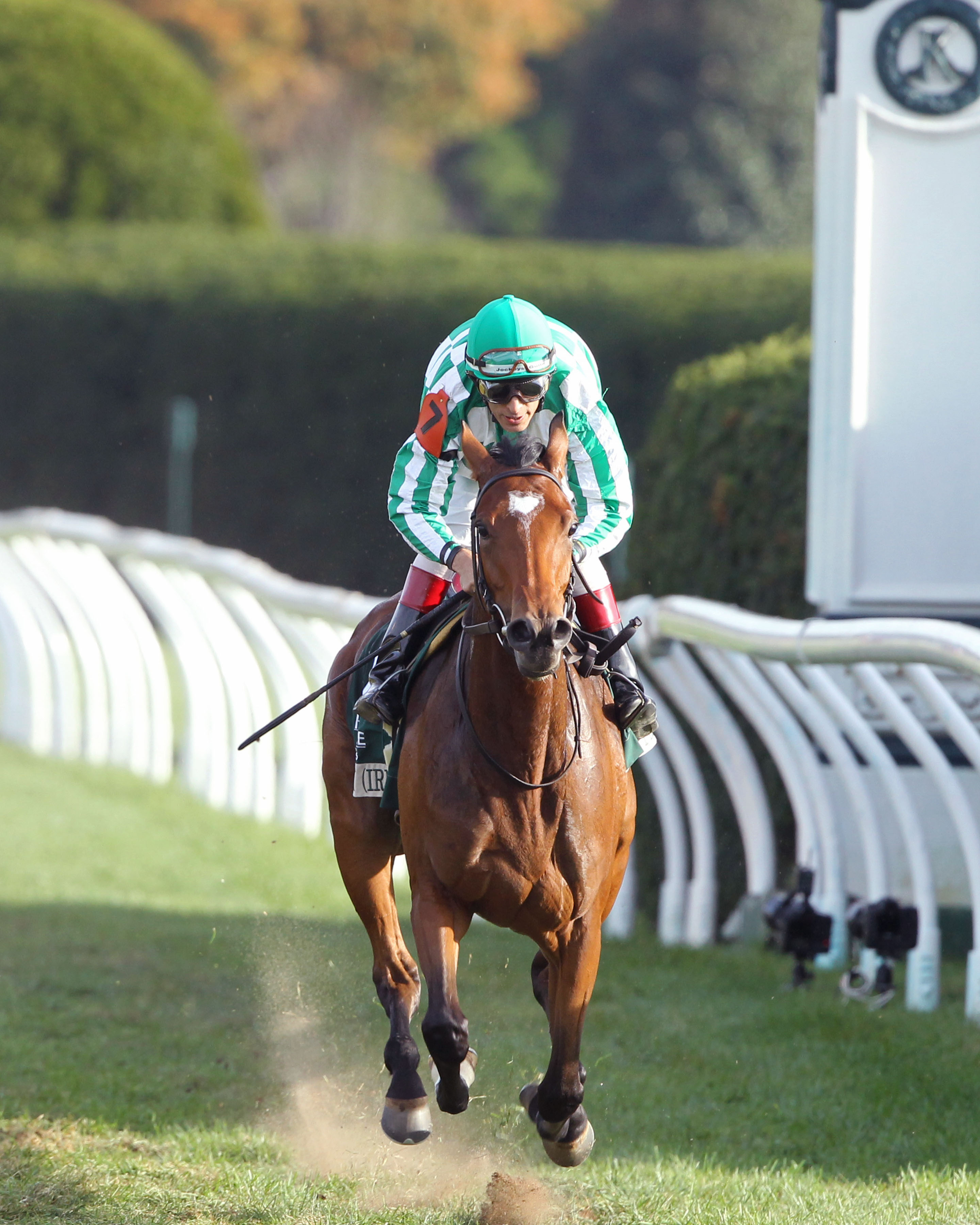 Apple Betty wins the Dowager