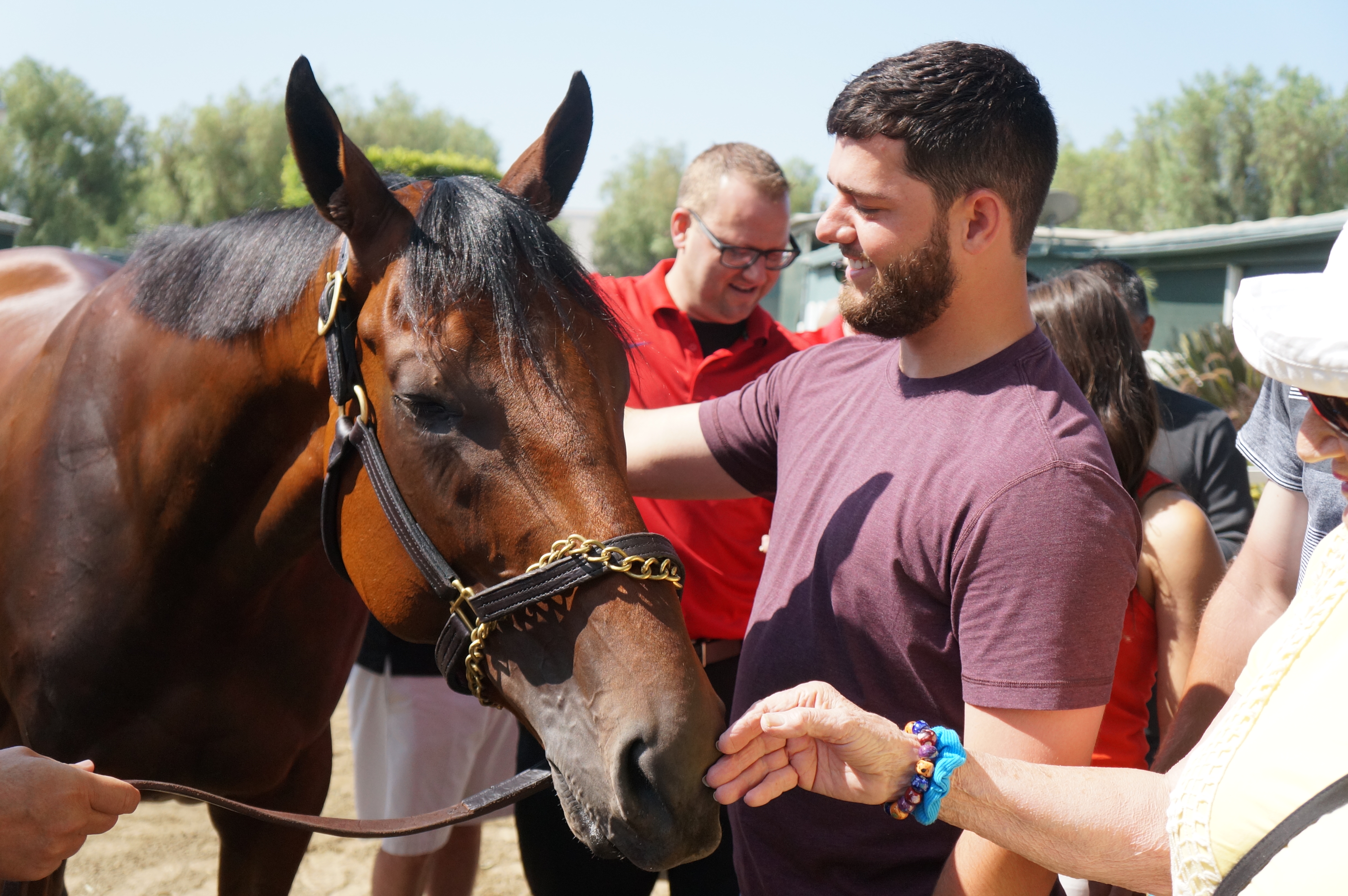 American Pharoah with LA Angels pitcher Cam Bedrosian