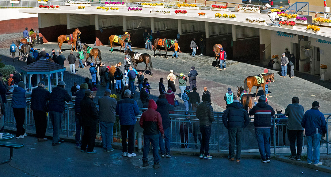 Crowds in the paddock at Aqueduct Racetrack in March 2020