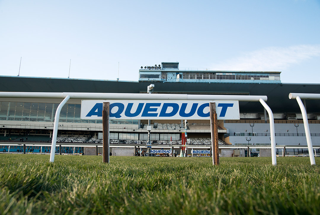 Aqueduct Racetrack, 2021