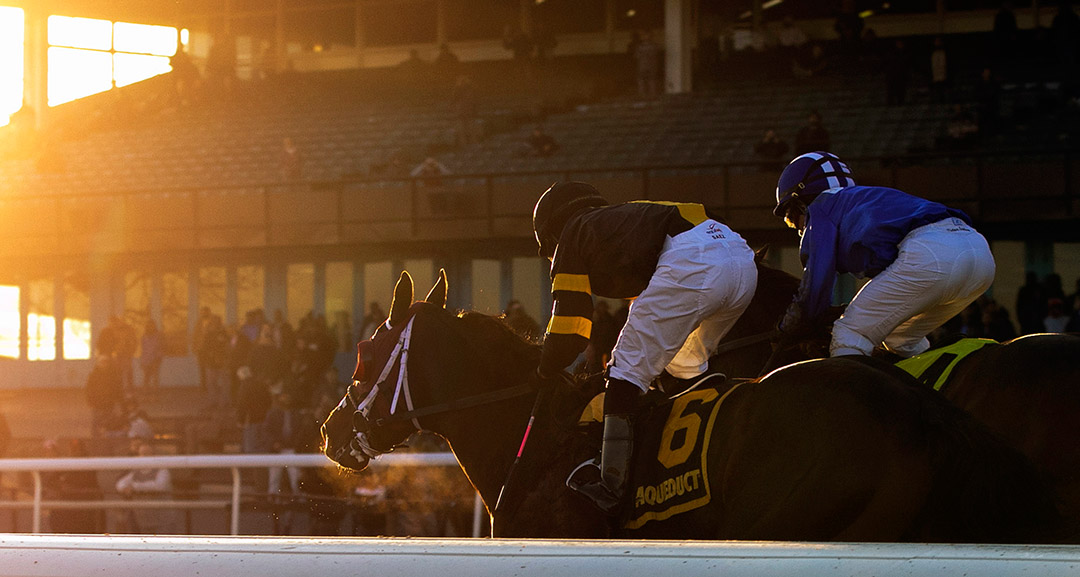 Racing at Aqueduct Racetrack