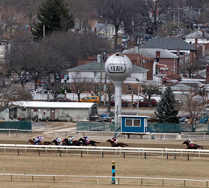 Racing at Aqueduct Racetrack, January 2020