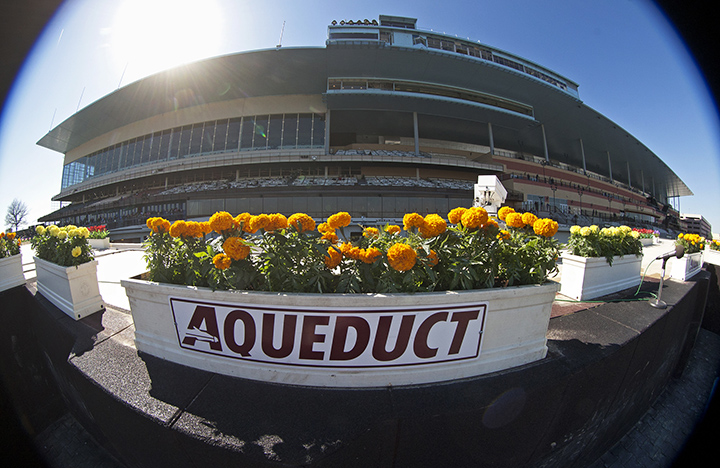 Aqueduct Racetrack