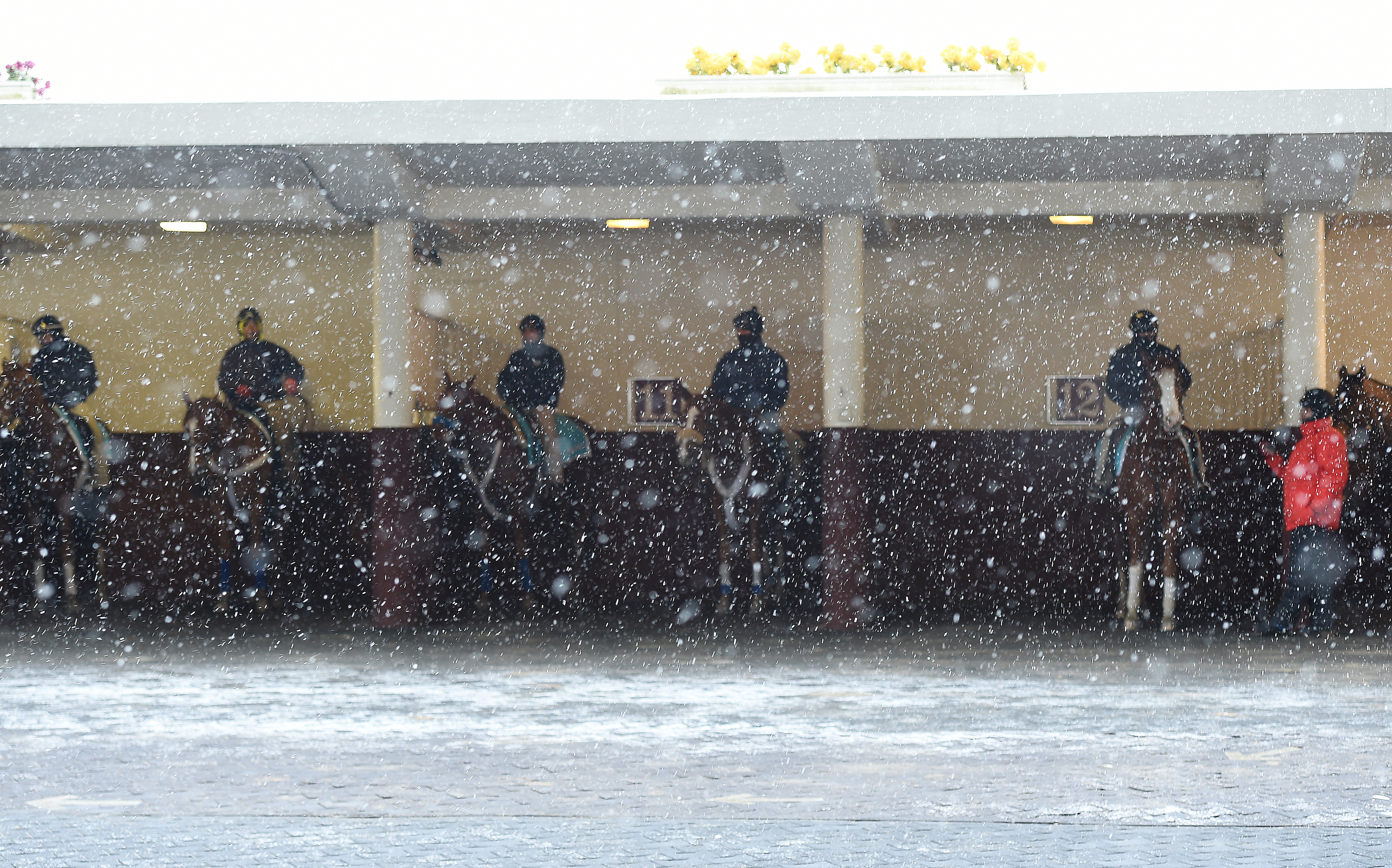 Aqueduct snowy paddock