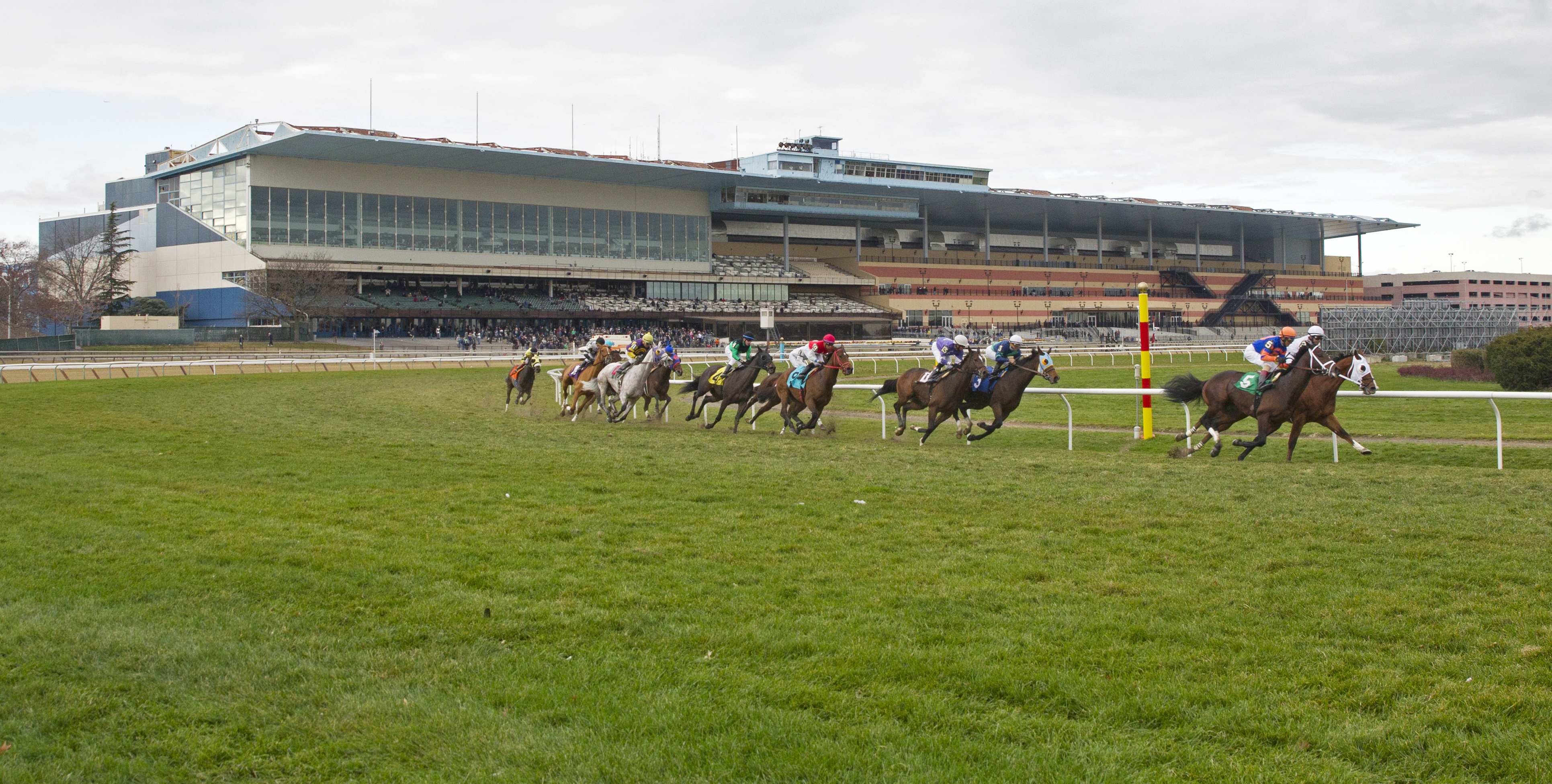 Turf racing at Aqueduct