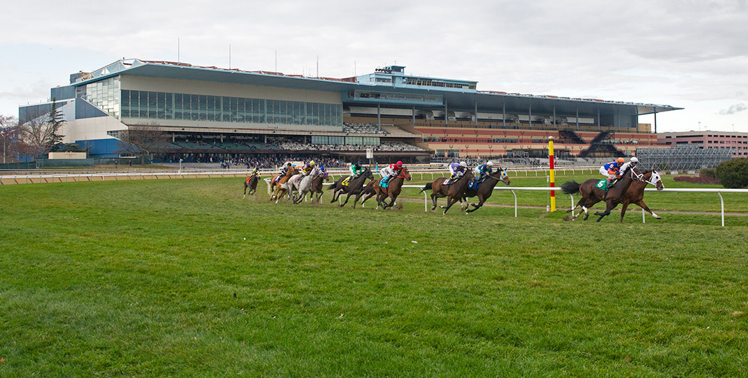 Aqueduct turf course 2016
