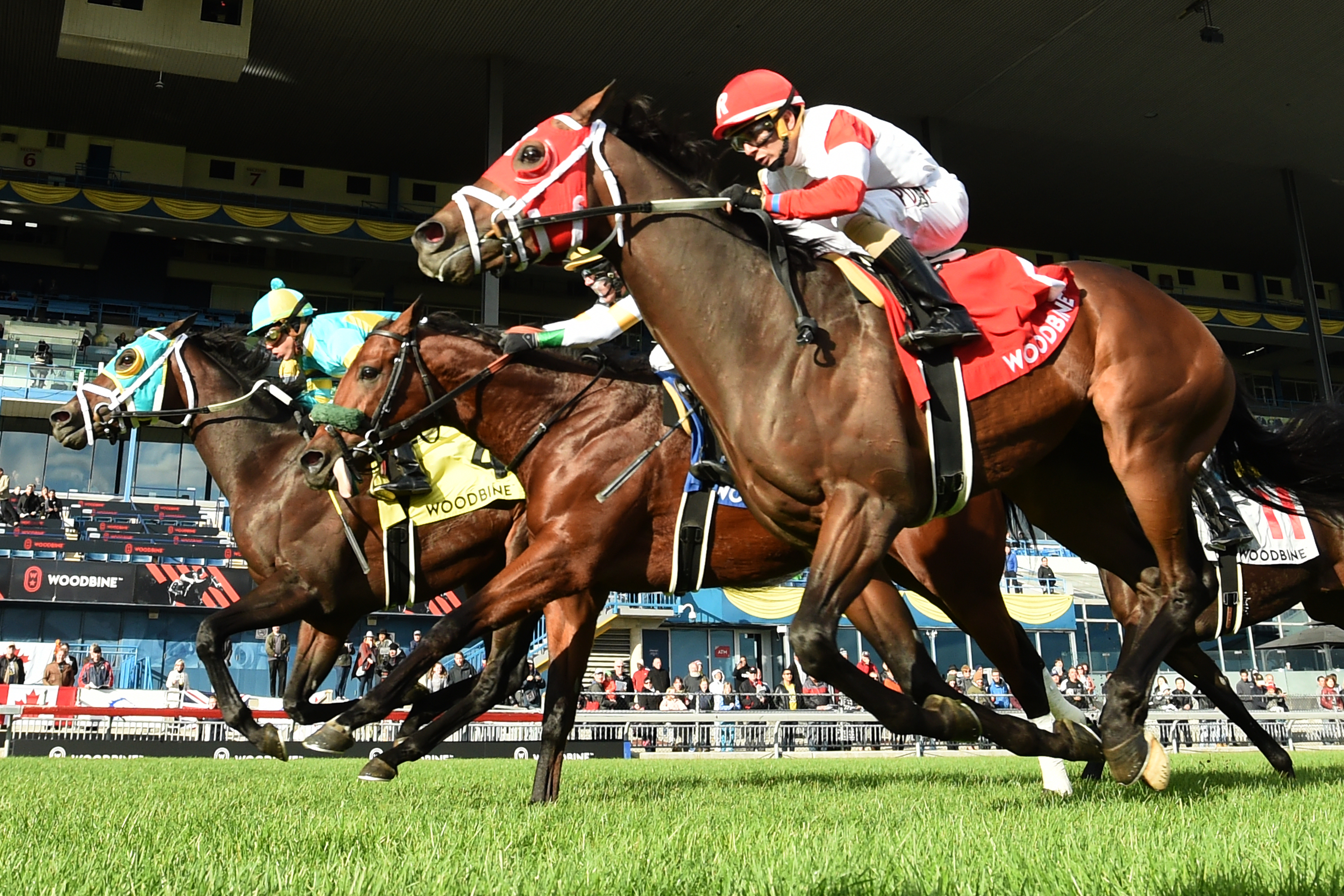 Hembree wins 2018 Nearctic Stakes