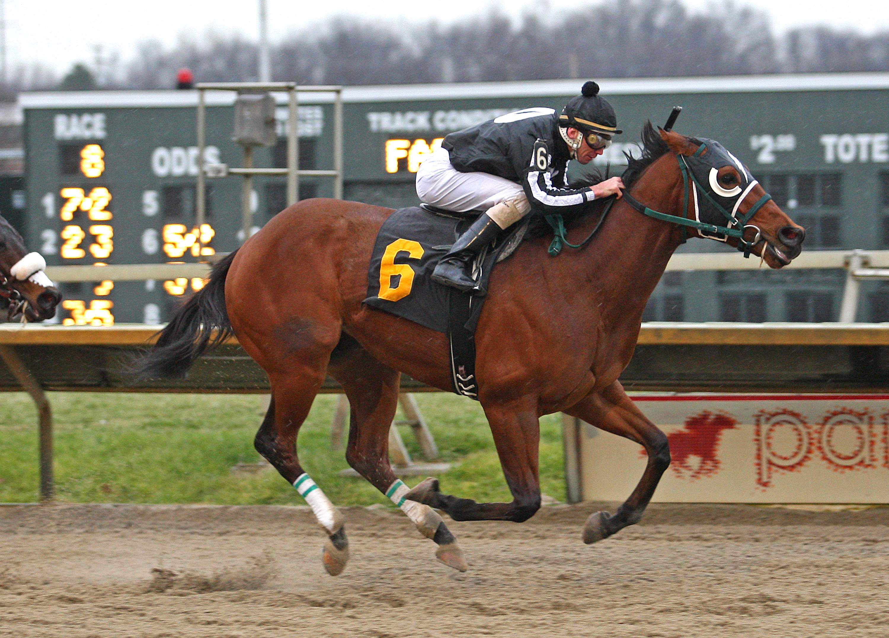 Royal Currier 12-20-2011
