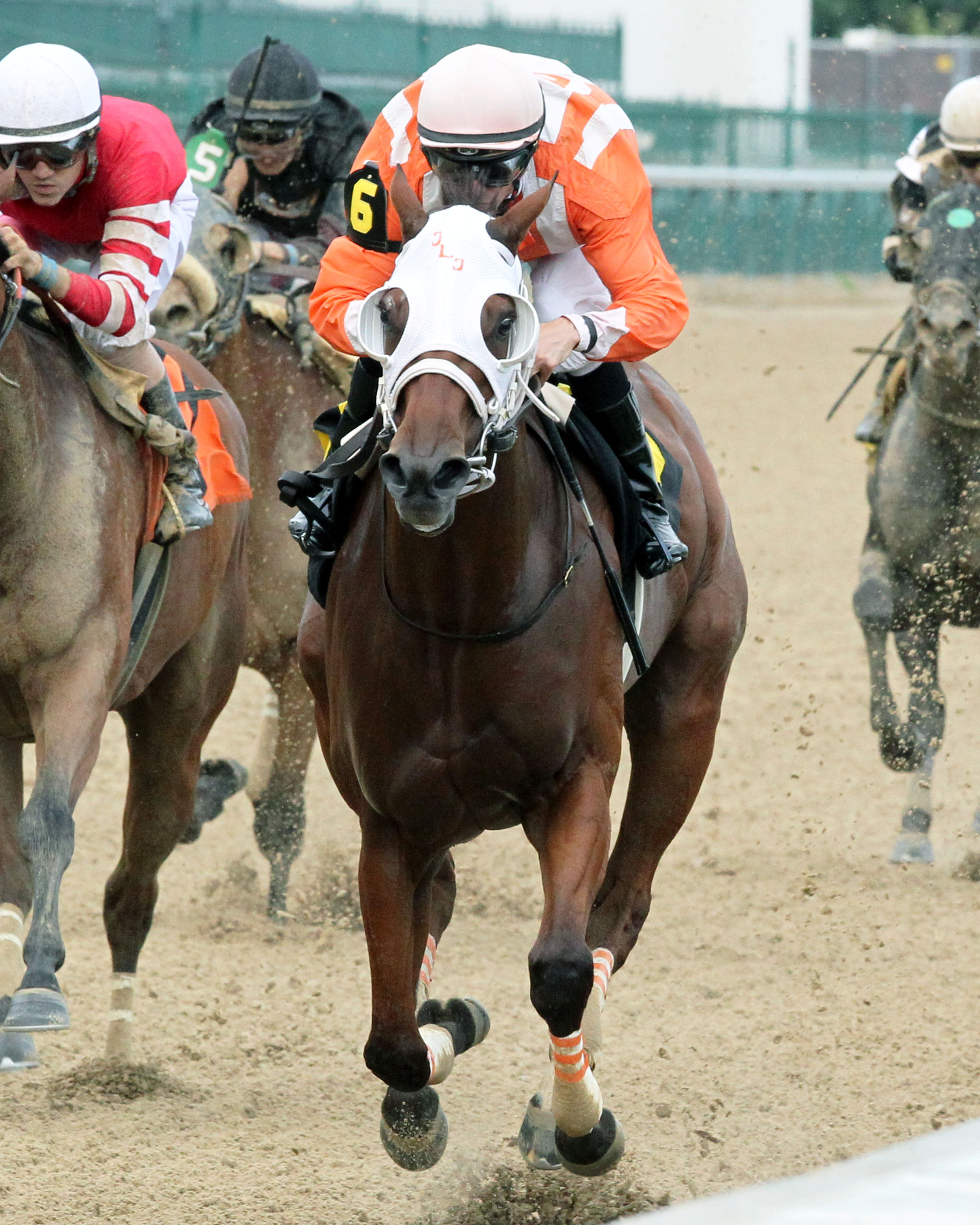 Astrollinthepark wins 2018 Roxelana