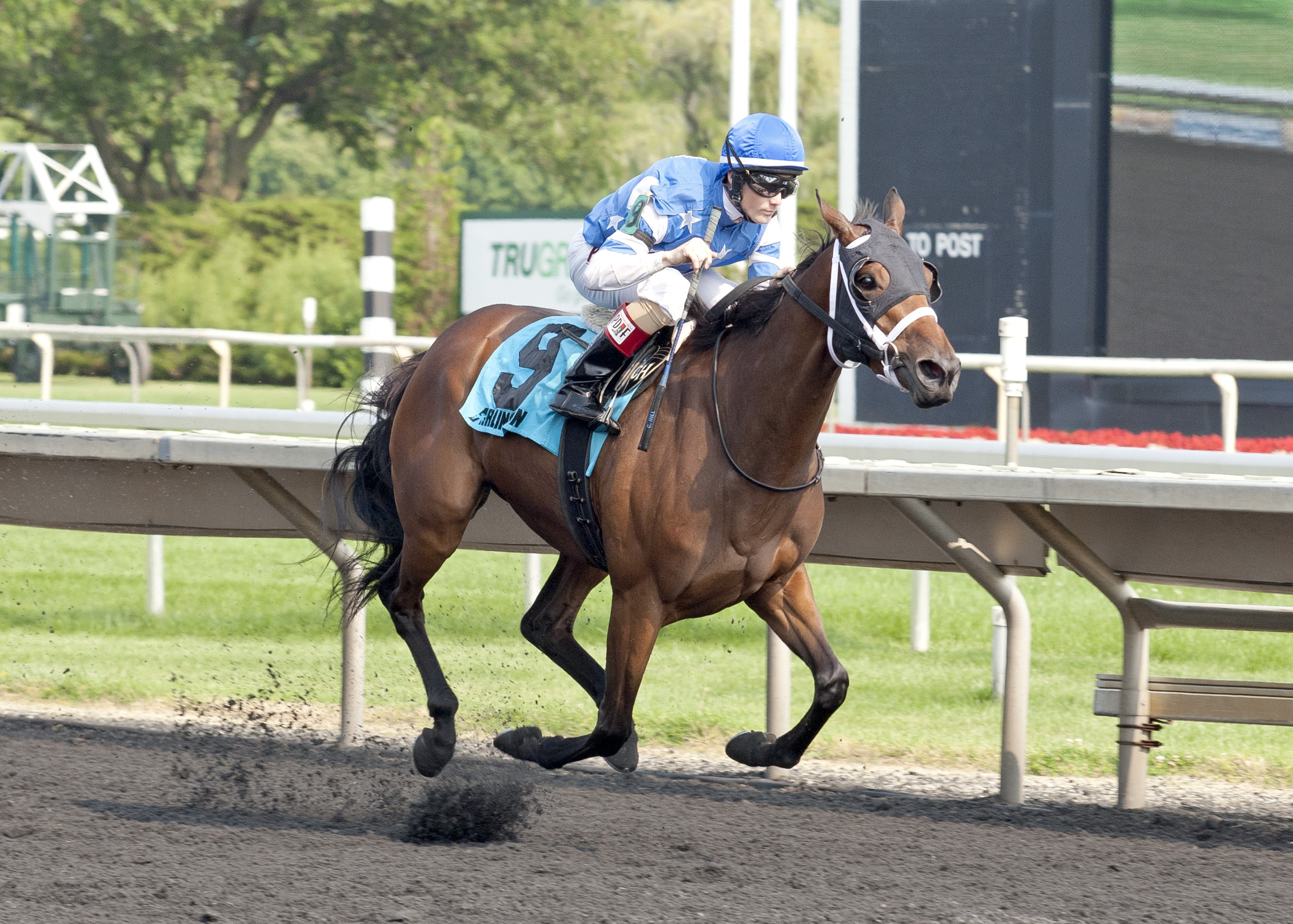 Aurelia's Belle wins 2014 Arlington Oaks