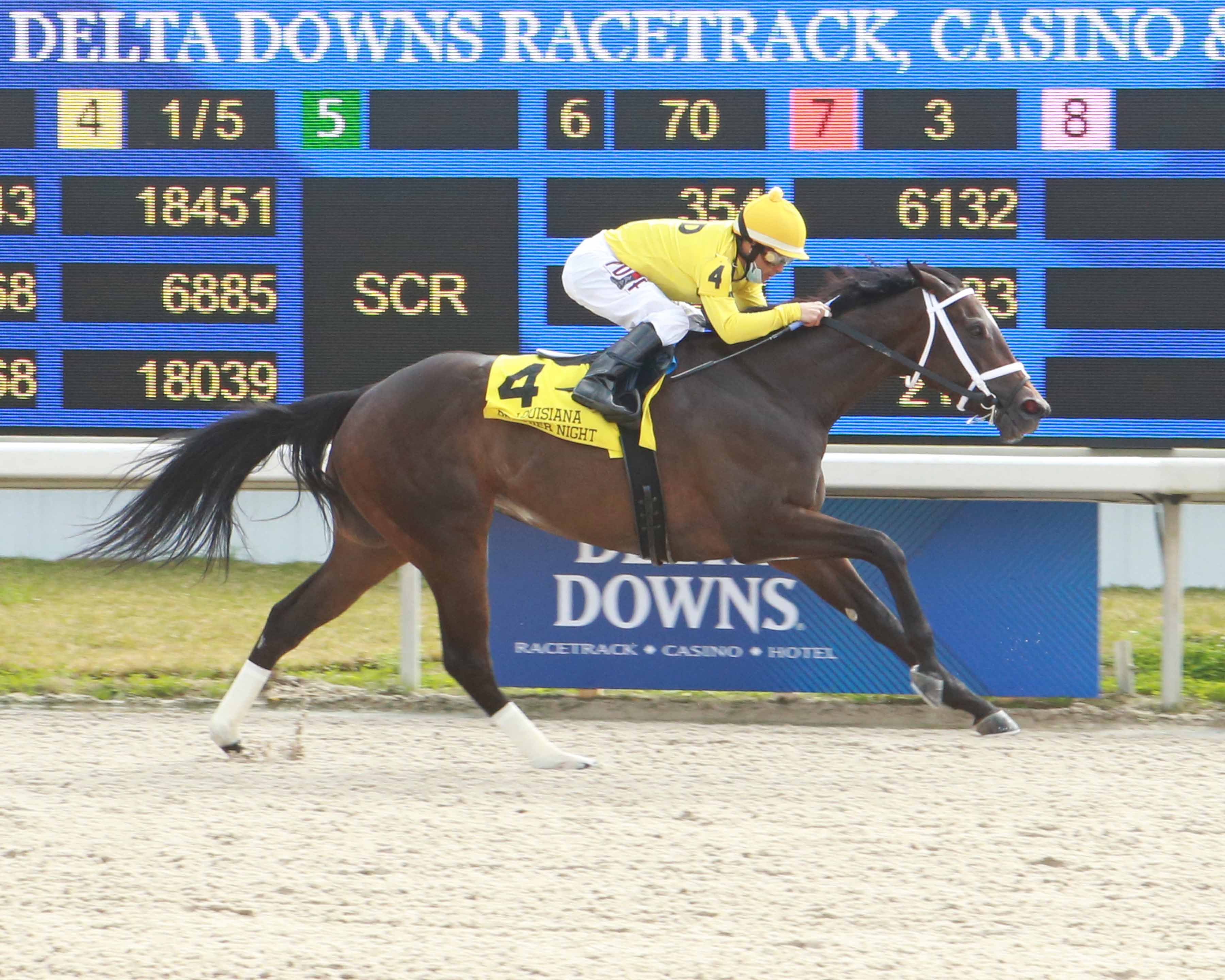 Australasia/Louisiana Premier Starlet