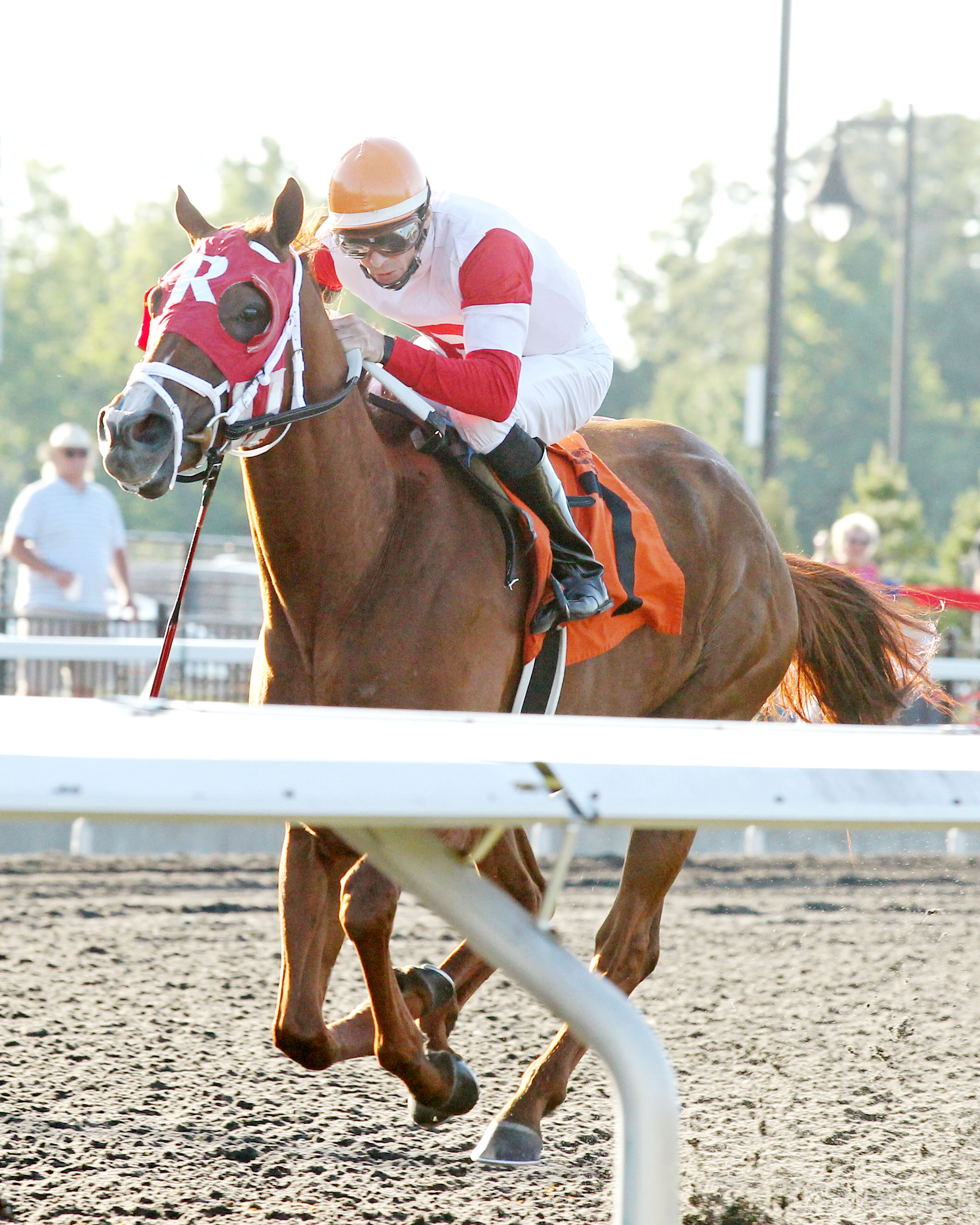 Awesome Flower wins 2014 Winward