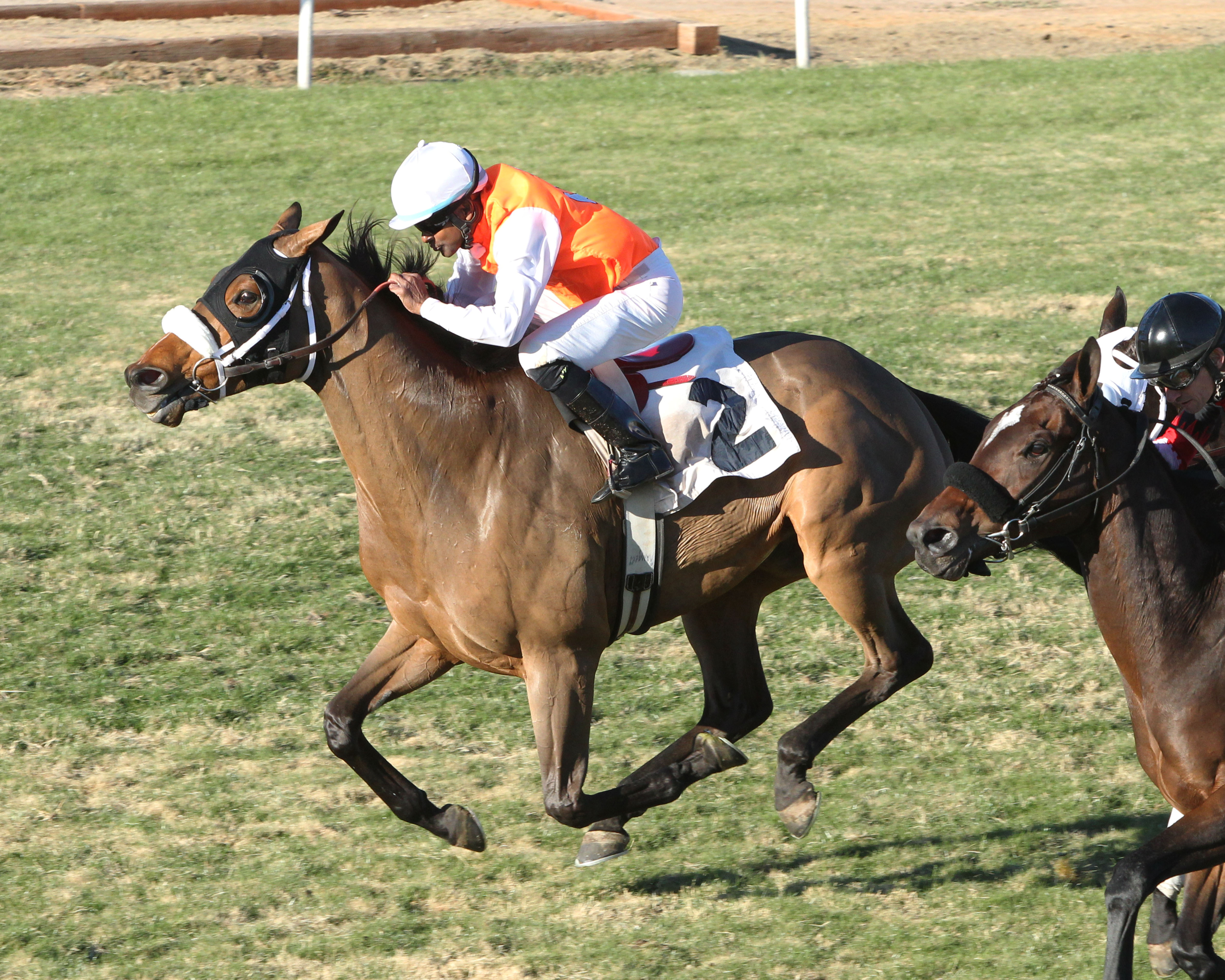 Az Ridge wins 2015 Walter R Cluer Memorial