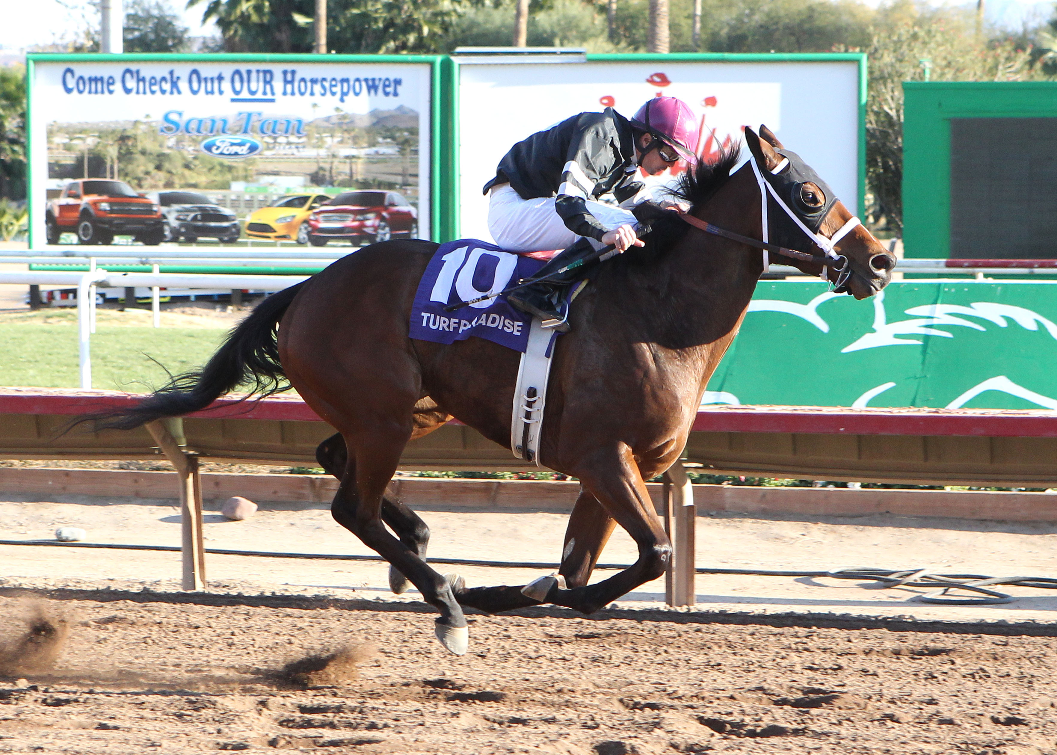 AZ Ridge wins the Luke Kruytbosch Stakes