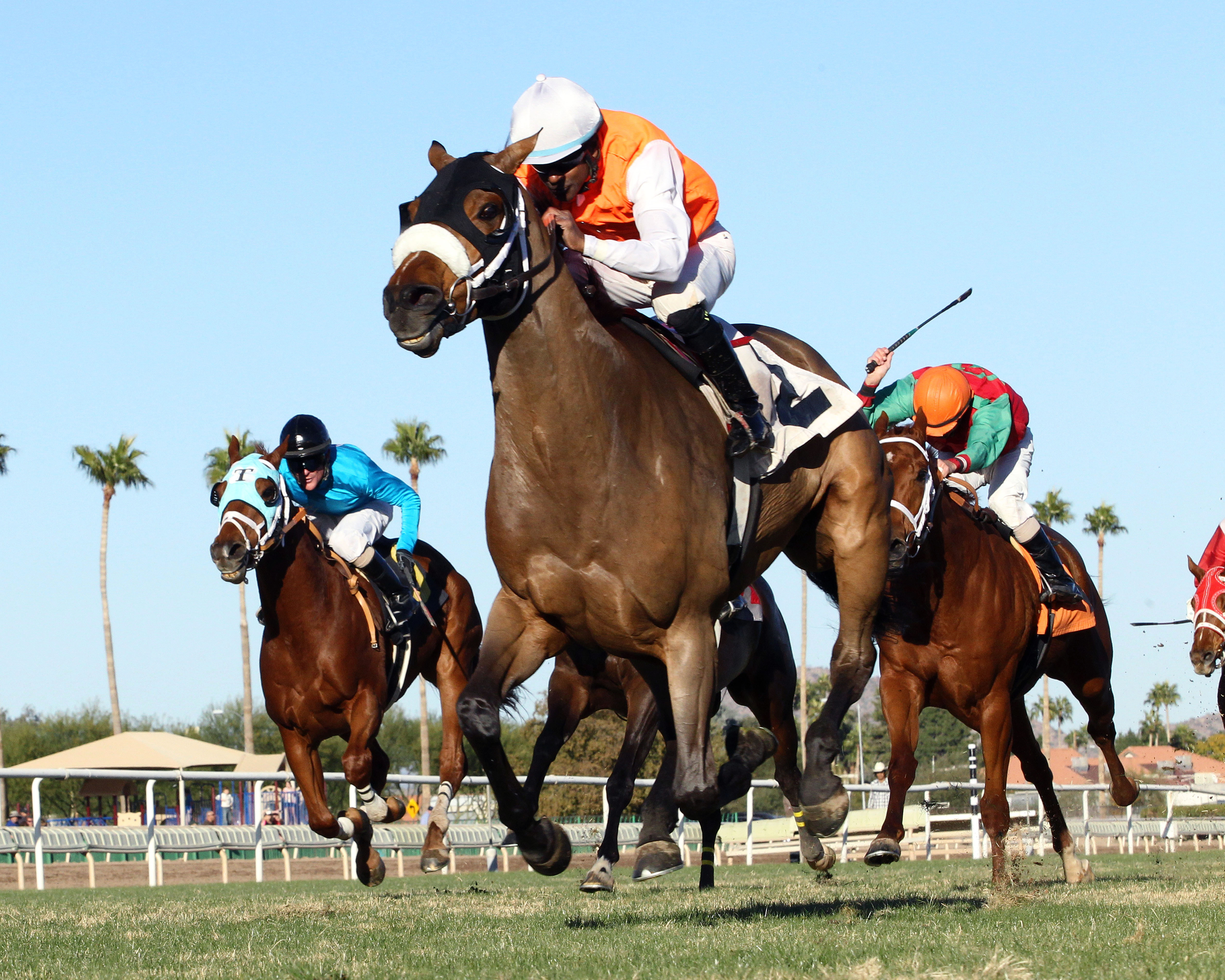 Az Ridge wins the Walter R. Cluer Memorial Stakes